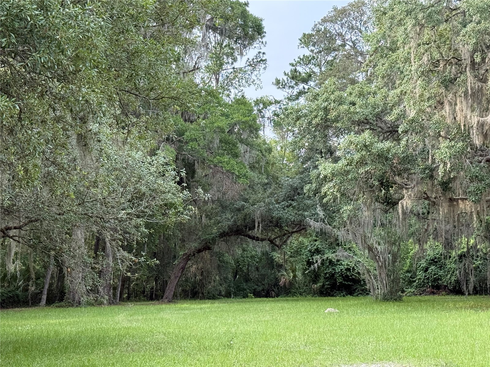 1360 S State Road 19 Palatka FL 32177 OM703128 image34