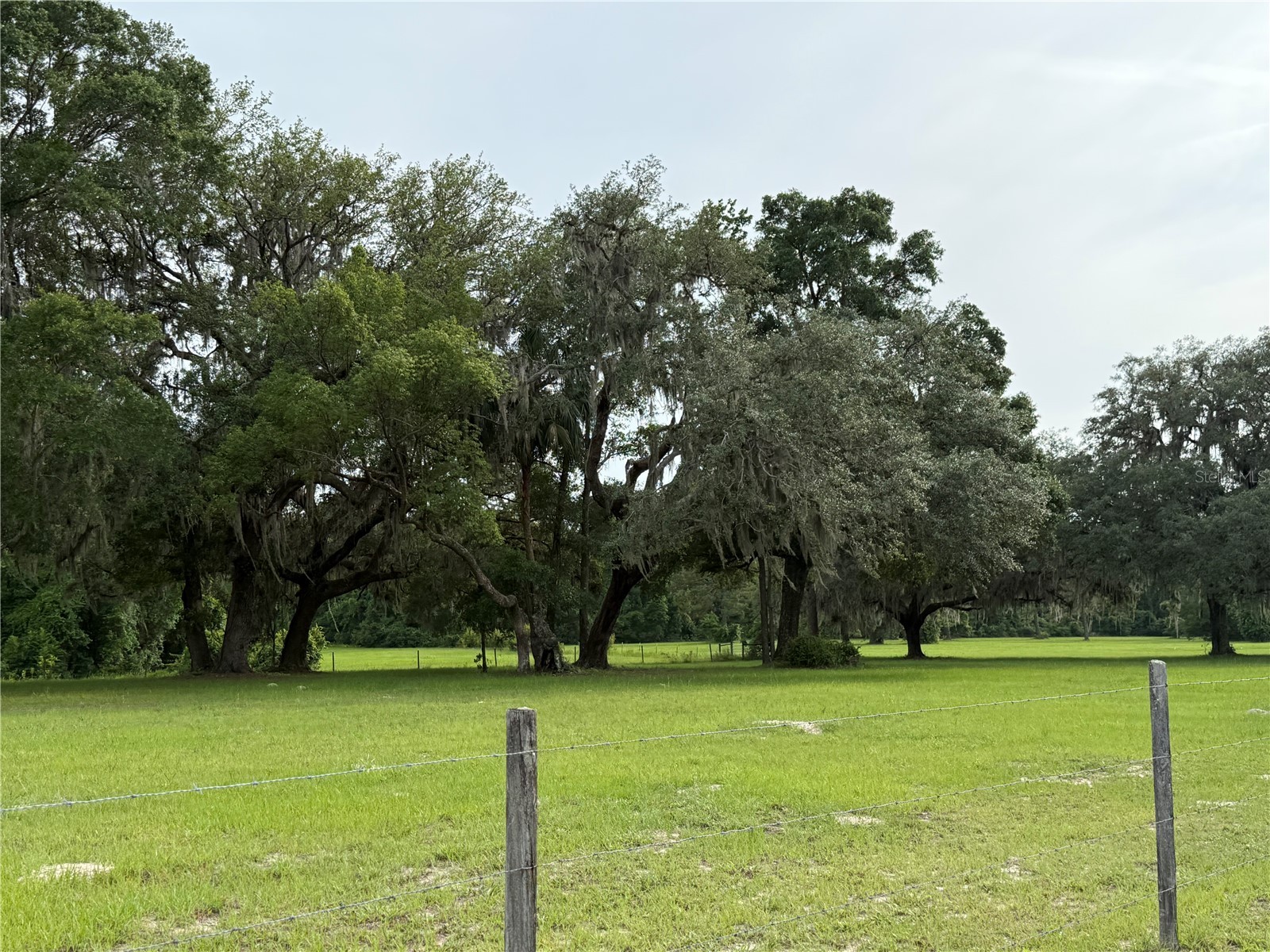 1360 S State Road 19 Palatka FL 32177 OM703128 image35