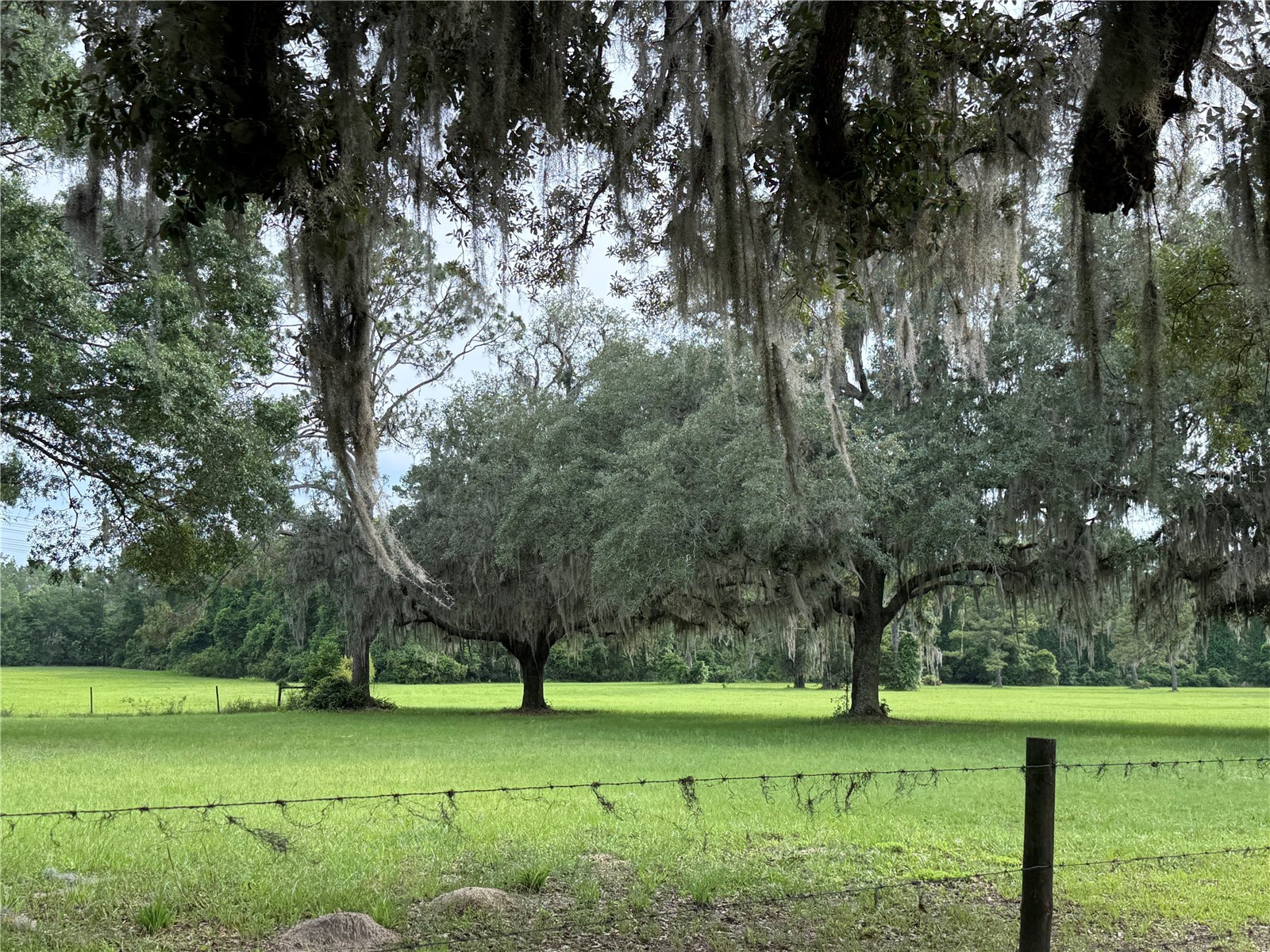 1360 S State Road 19 Palatka FL 32177 OM703128 image37