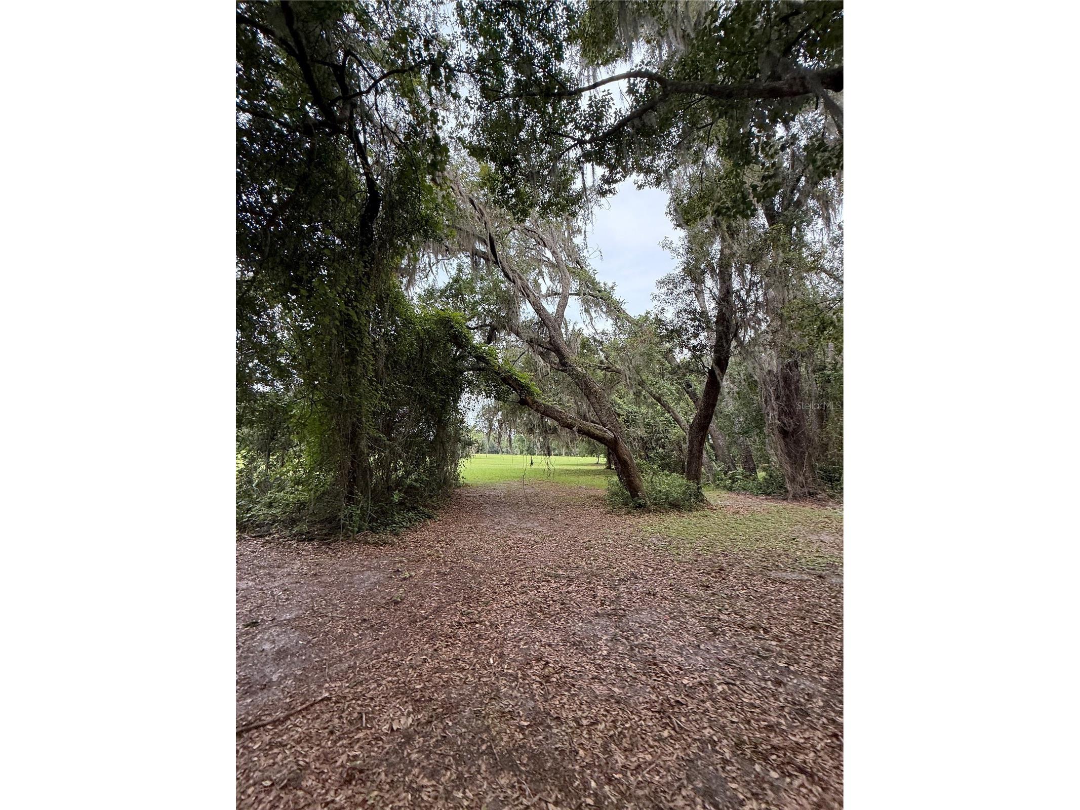 1360 S State Road 19 Palatka FL 32177 OM703128 image38