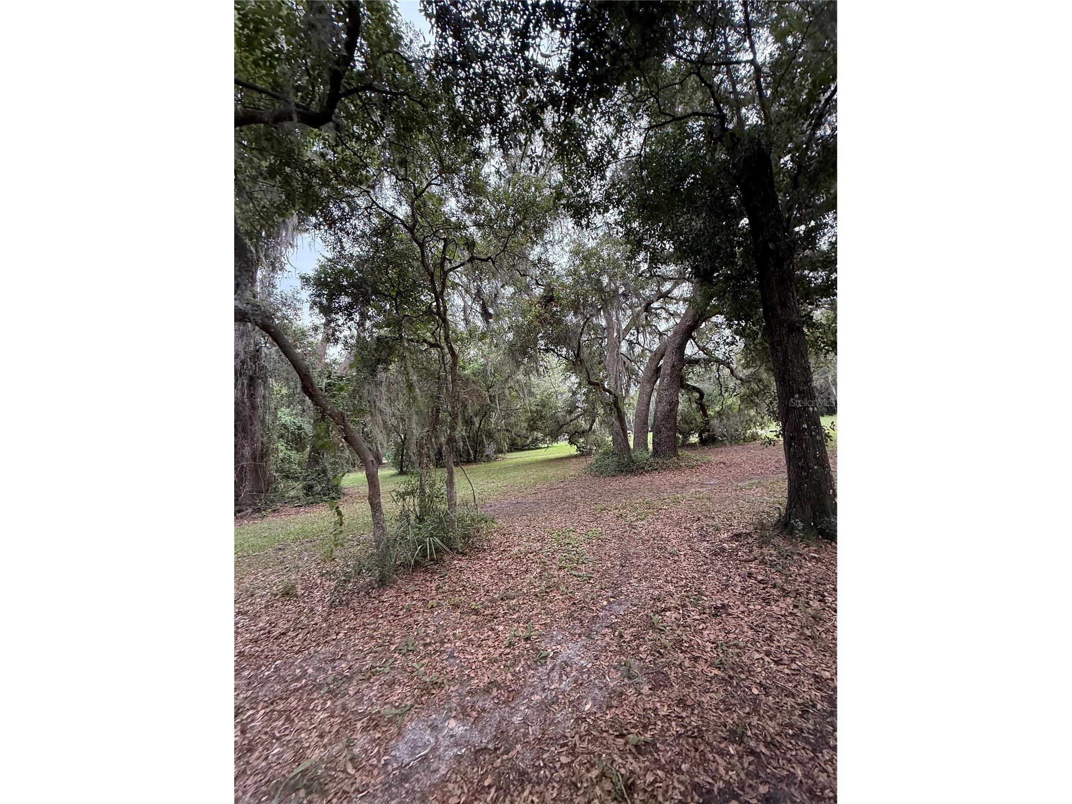 1360 S State Road 19 Palatka FL 32177 OM703128 image39