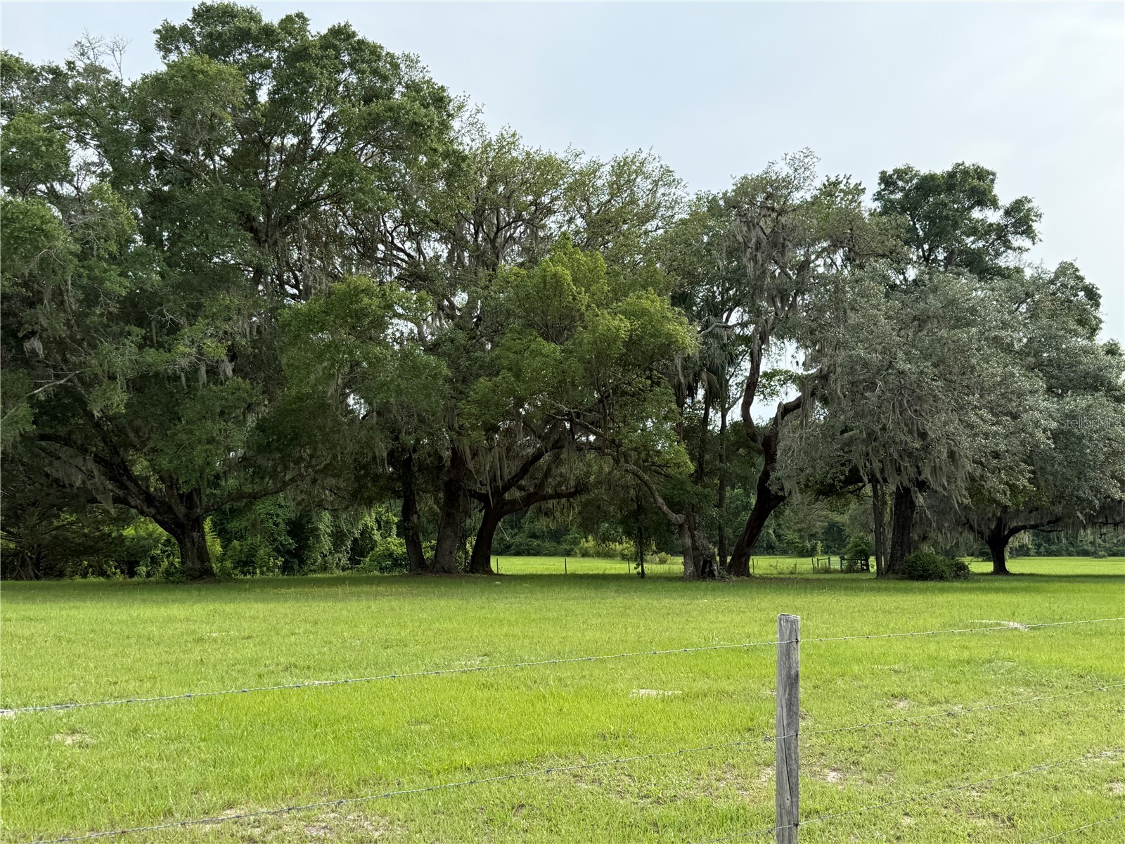 1360 S State Road 19 Palatka FL 32177 OM703128 image4