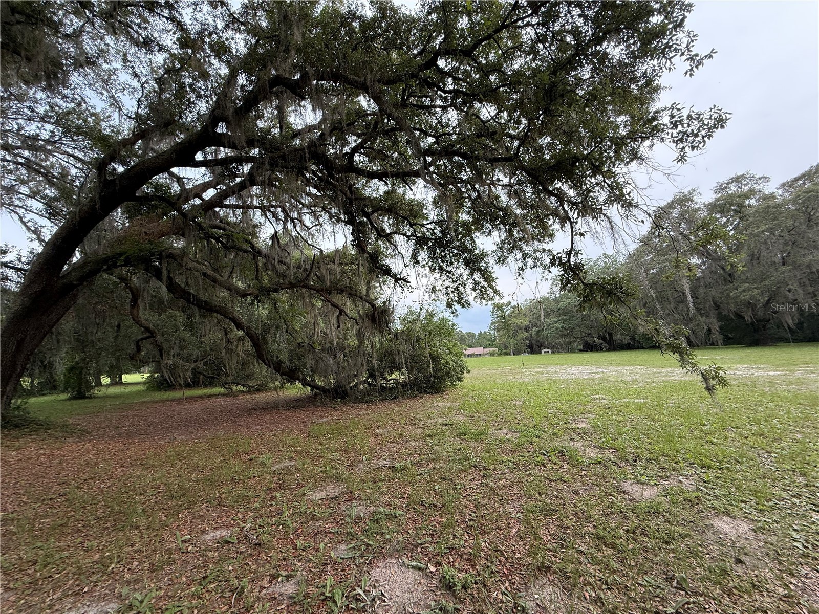 1360 S State Road 19 Palatka FL 32177 OM703128 image40