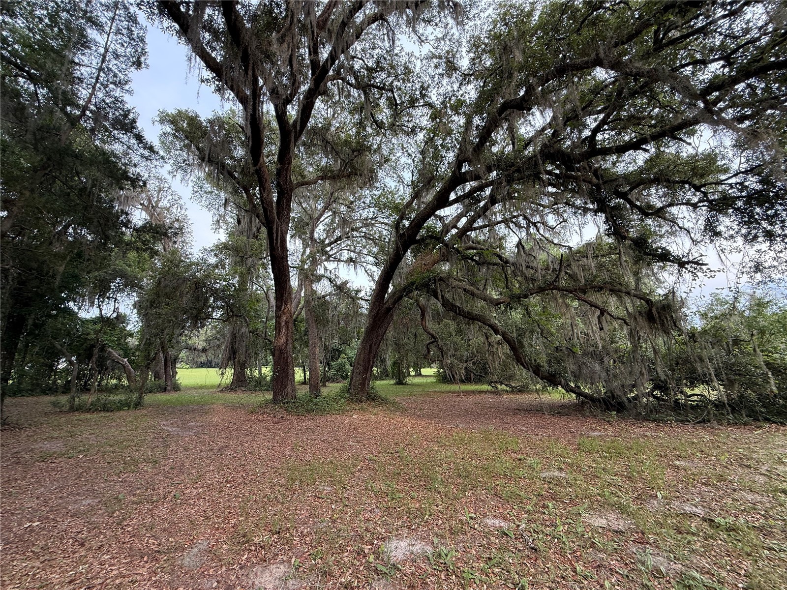 1360 S State Road 19 Palatka FL 32177 OM703128 image41
