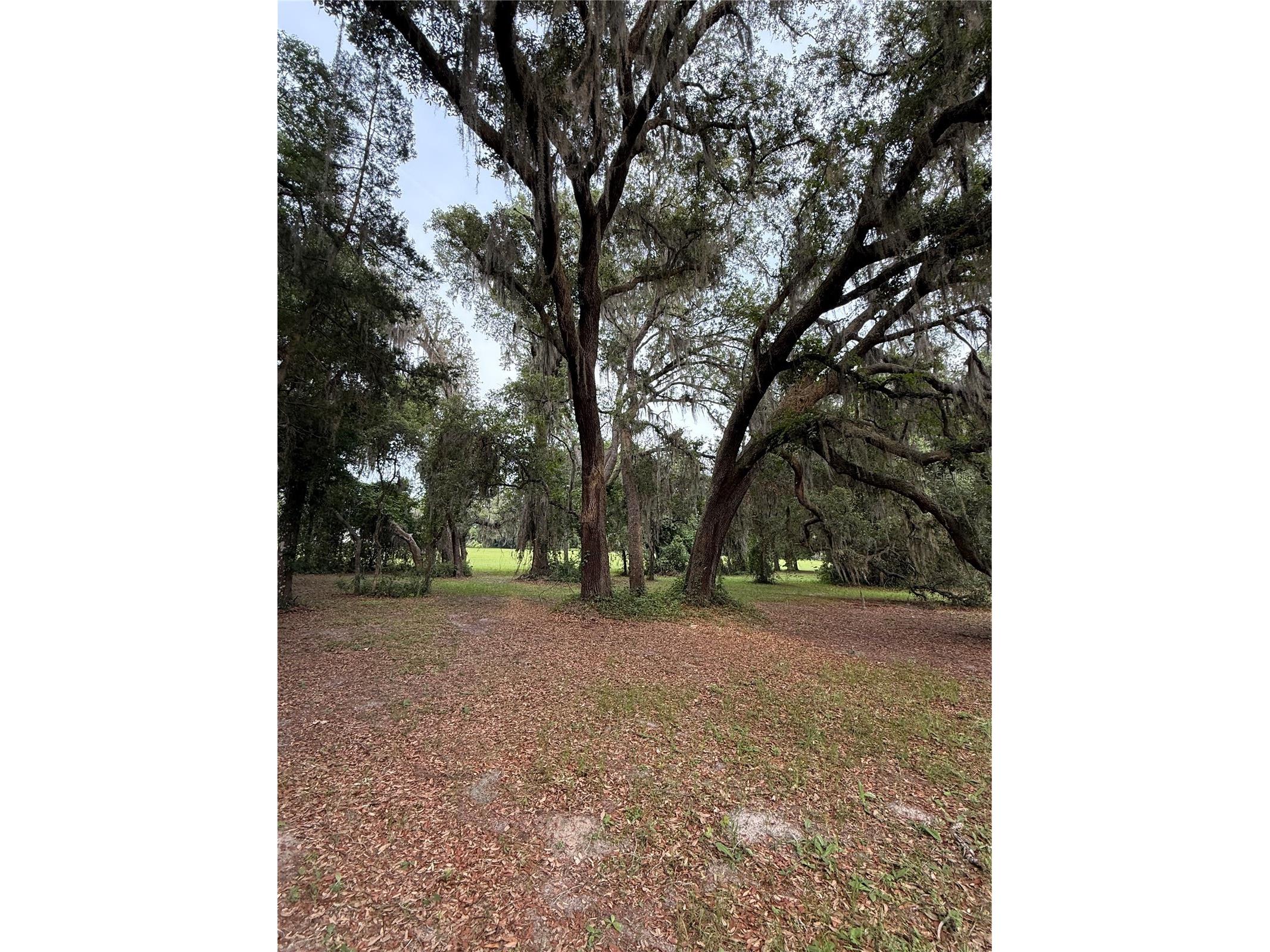 1360 S State Road 19 Palatka FL 32177 OM703128 image42