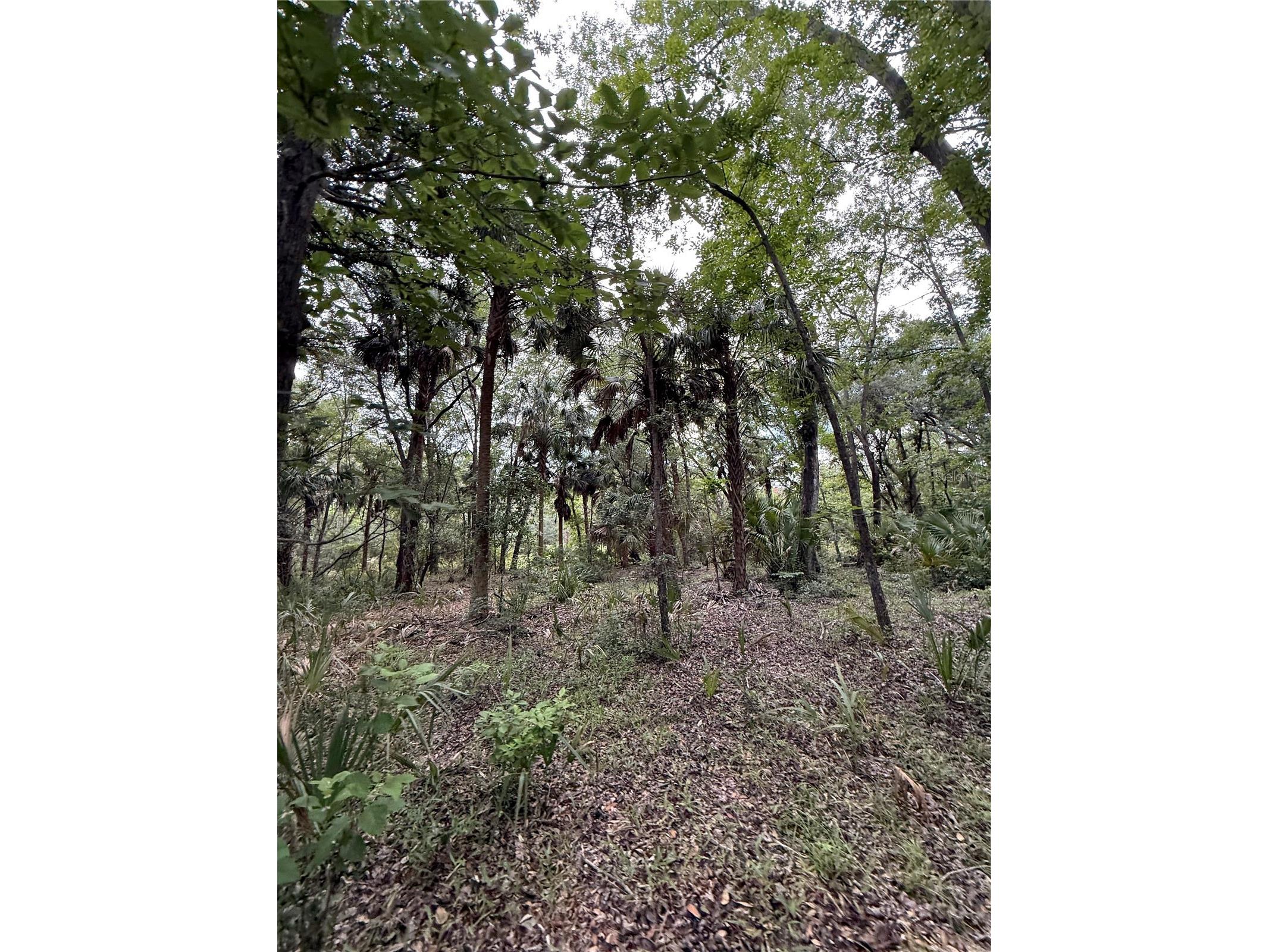 1360 S State Road 19 Palatka FL 32177 OM703128 image45