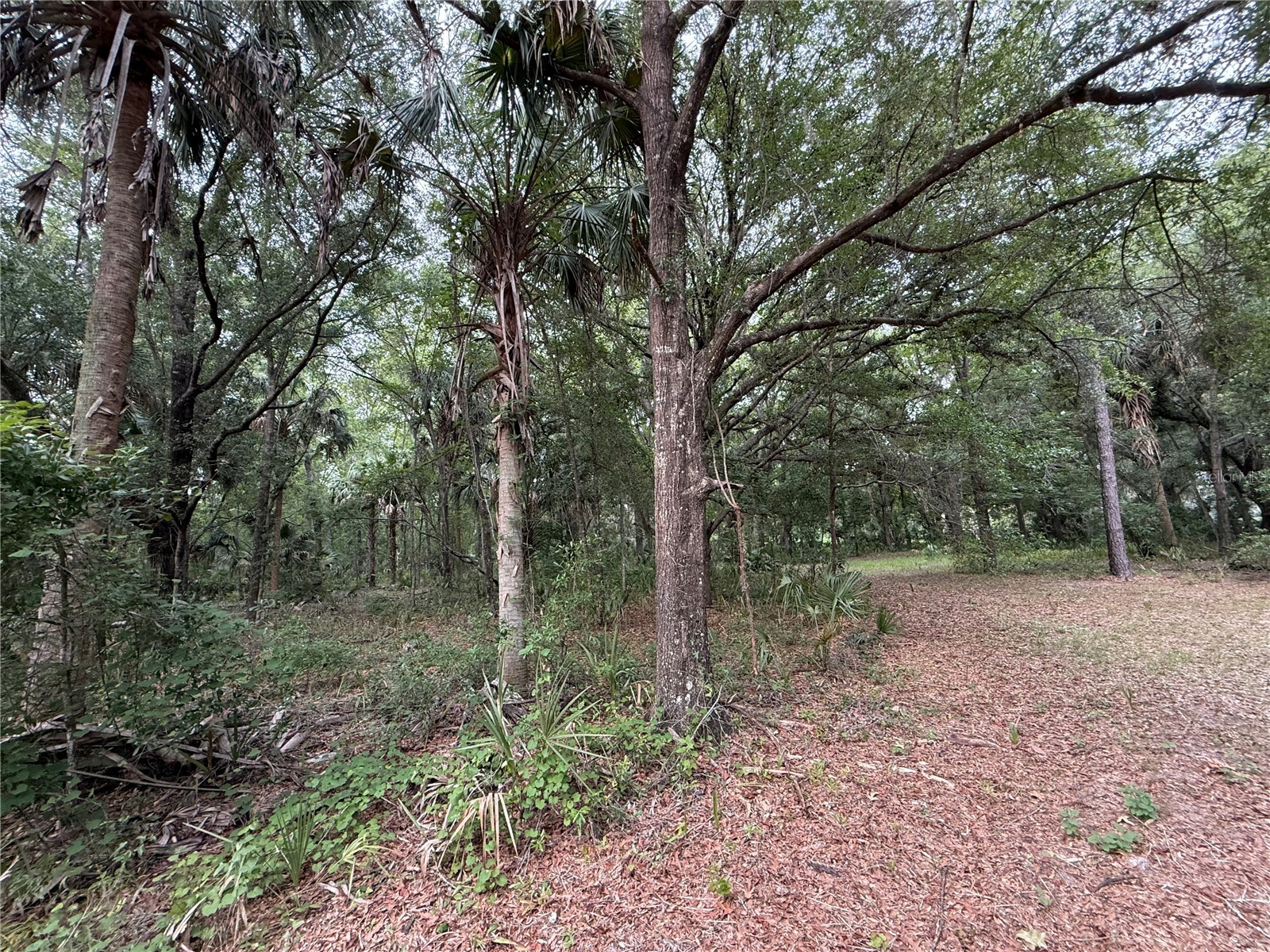 1360 S State Road 19 Palatka FL 32177 OM703128 image47