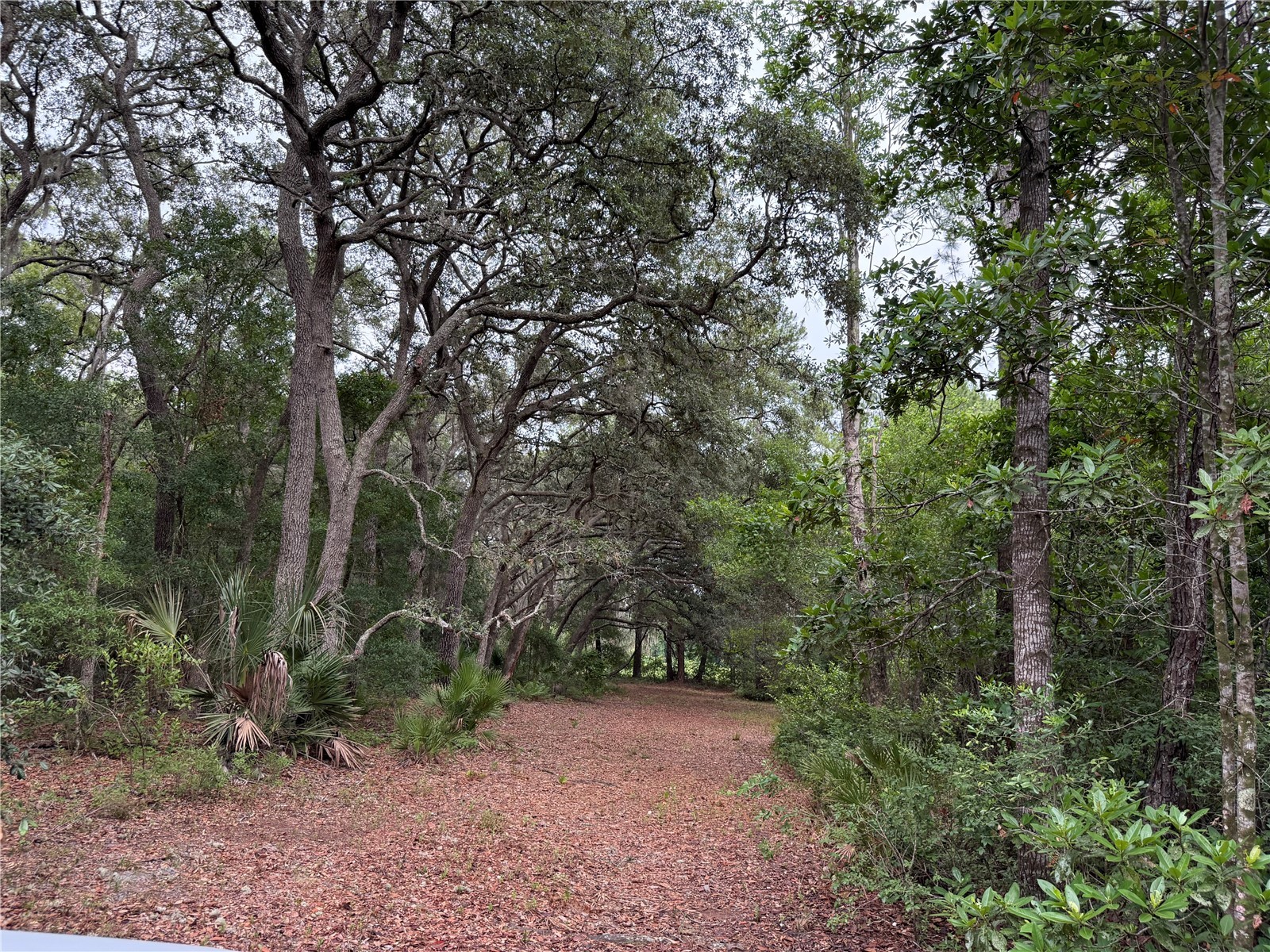1360 S State Road 19 Palatka FL 32177 OM703128 image48
