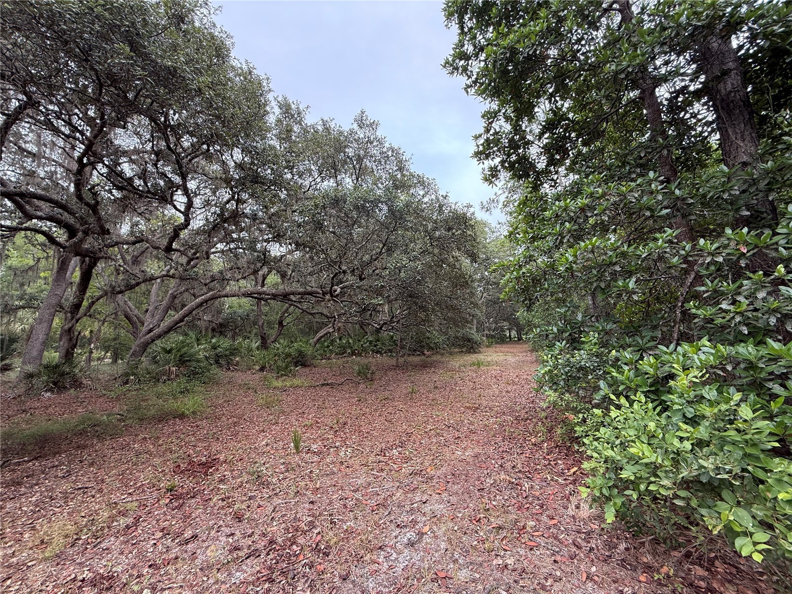 1360 S State Road 19 Palatka FL 32177 OM703128 image49