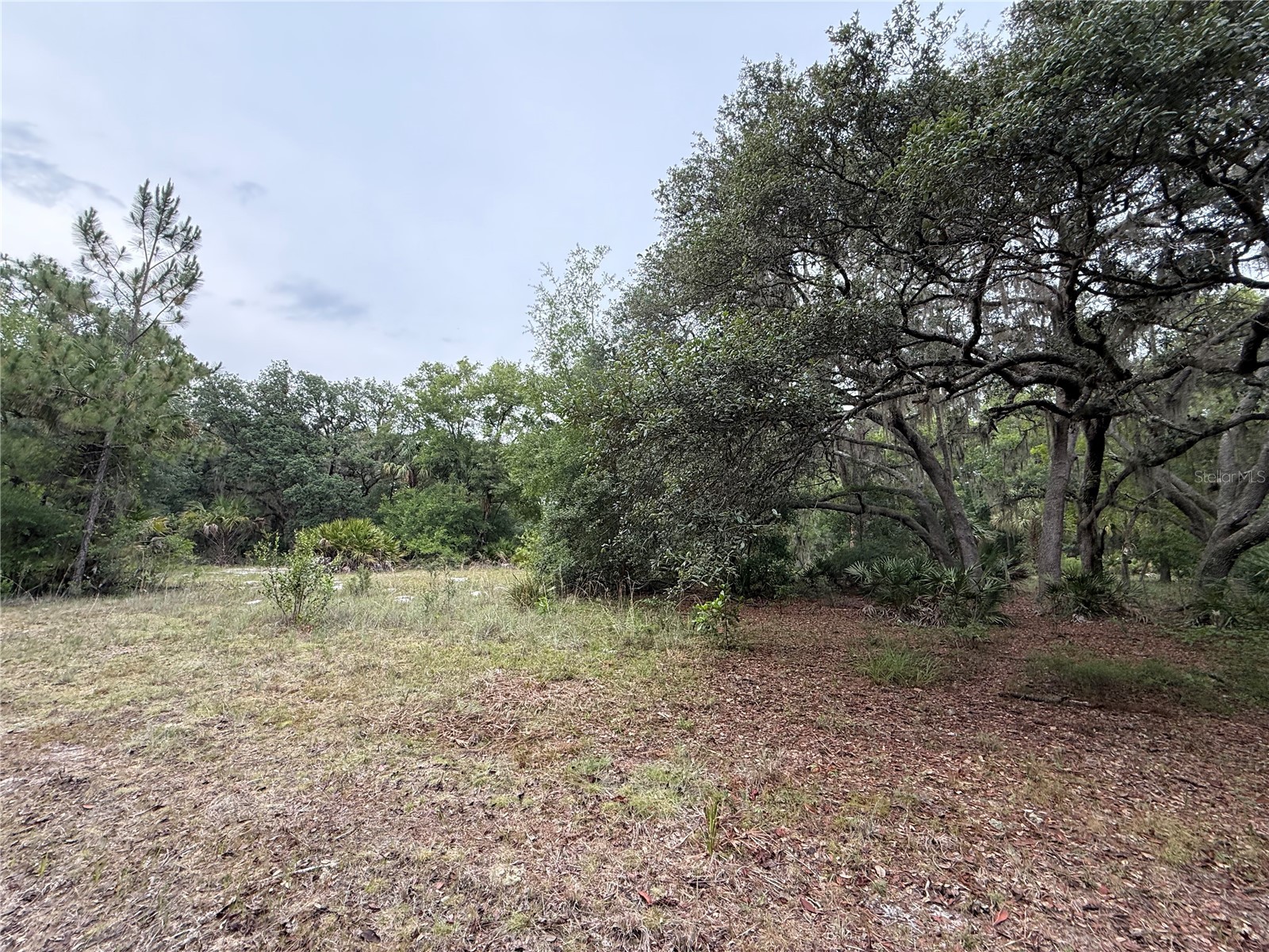 1360 S State Road 19 Palatka FL 32177 OM703128 image50
