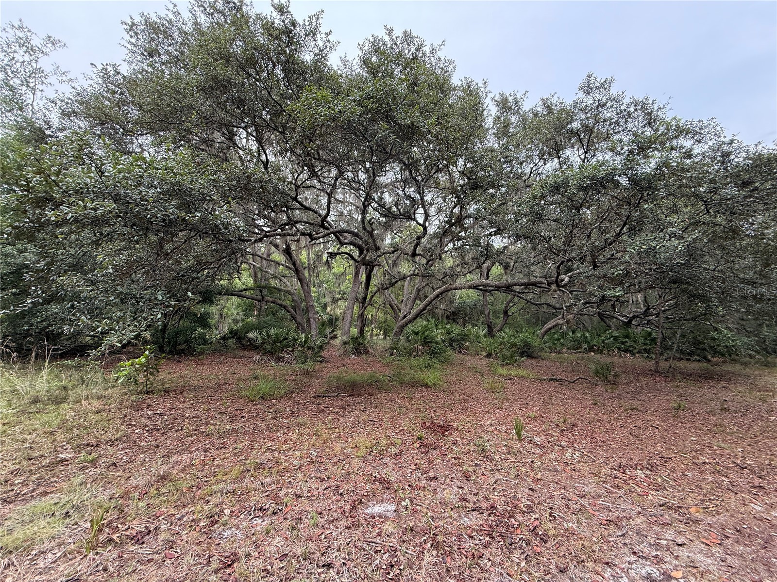 1360 S State Road 19 Palatka FL 32177 OM703128 image51