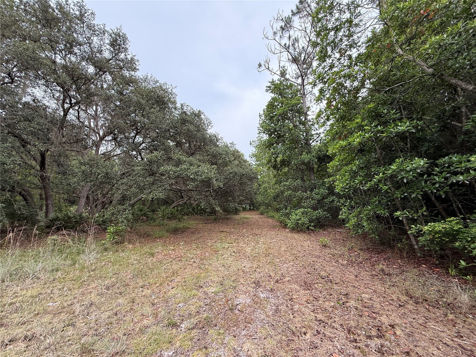 1360 S State Road 19 Palatka FL 32177 OM703128 image52