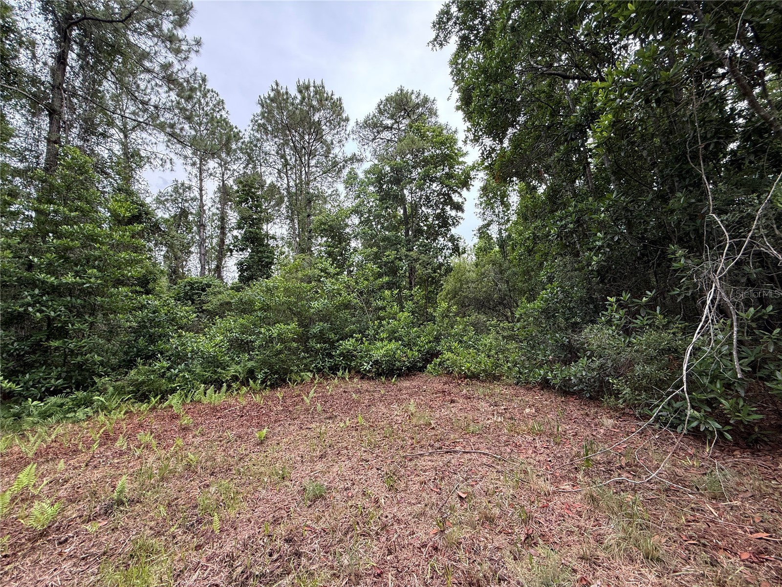 1360 S State Road 19 Palatka FL 32177 OM703128 image55