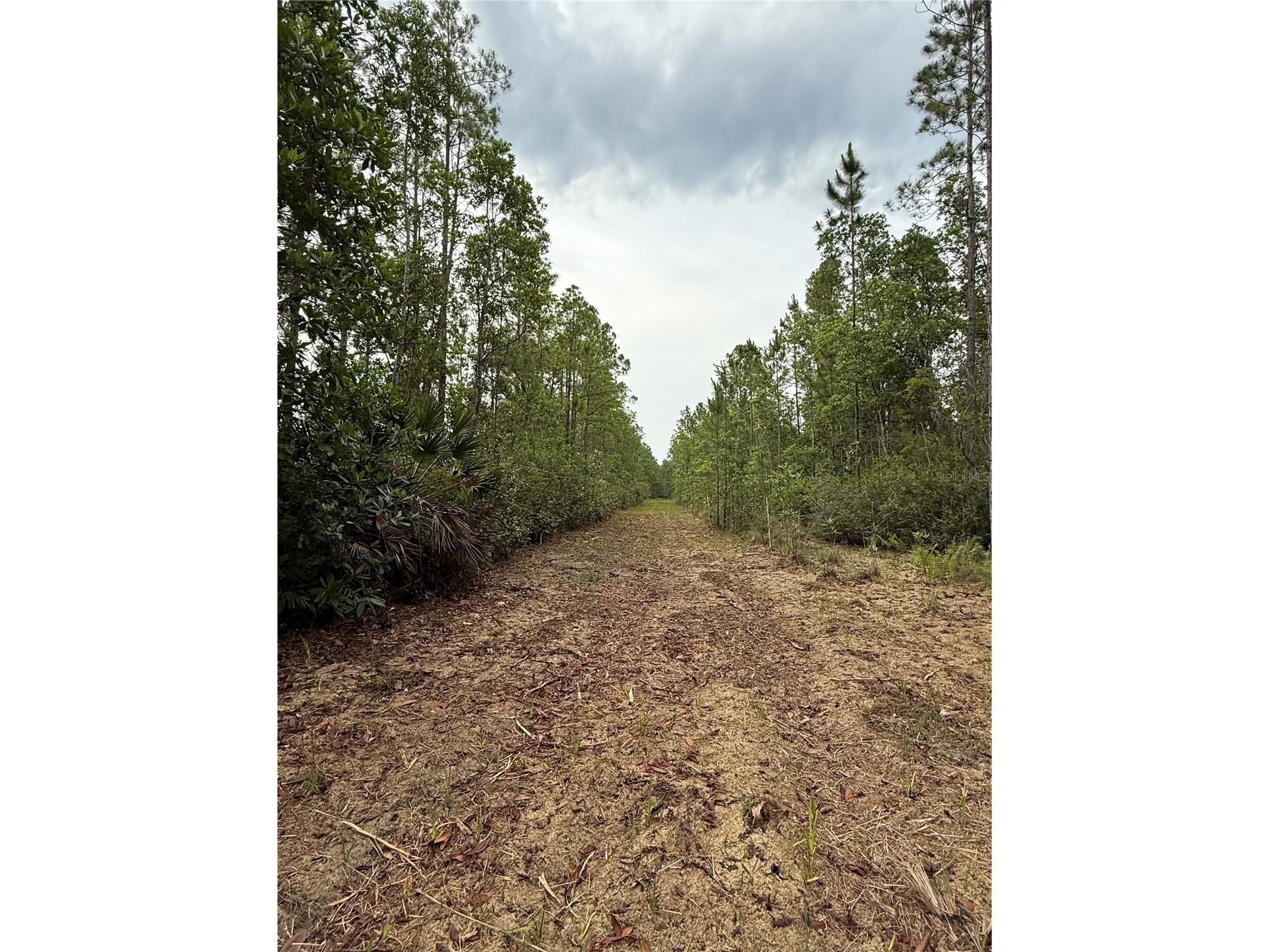 1360 S State Road 19 Palatka FL 32177 OM703128 image56