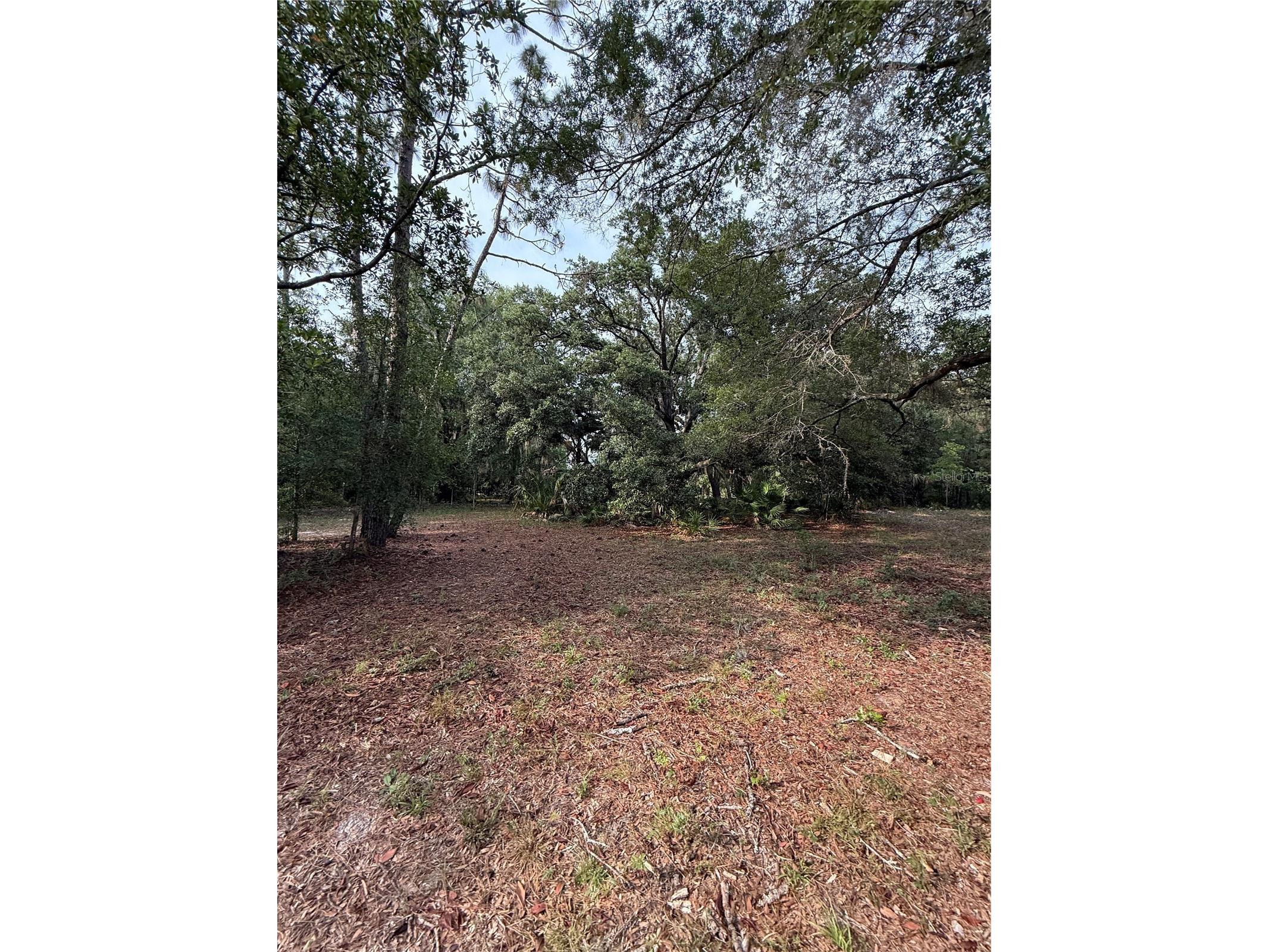 1360 S State Road 19 Palatka FL 32177 OM703128 image59