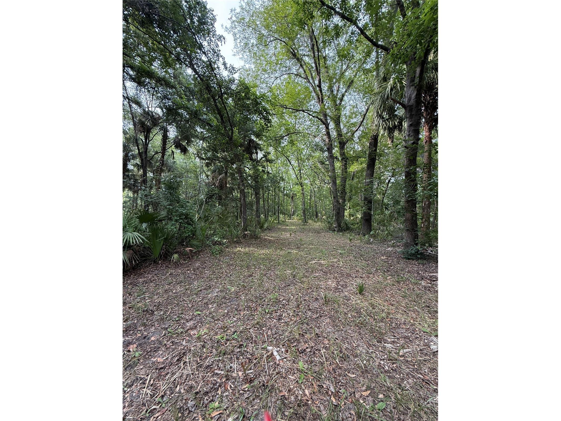 1360 S State Road 19 Palatka FL 32177 OM703128 image60