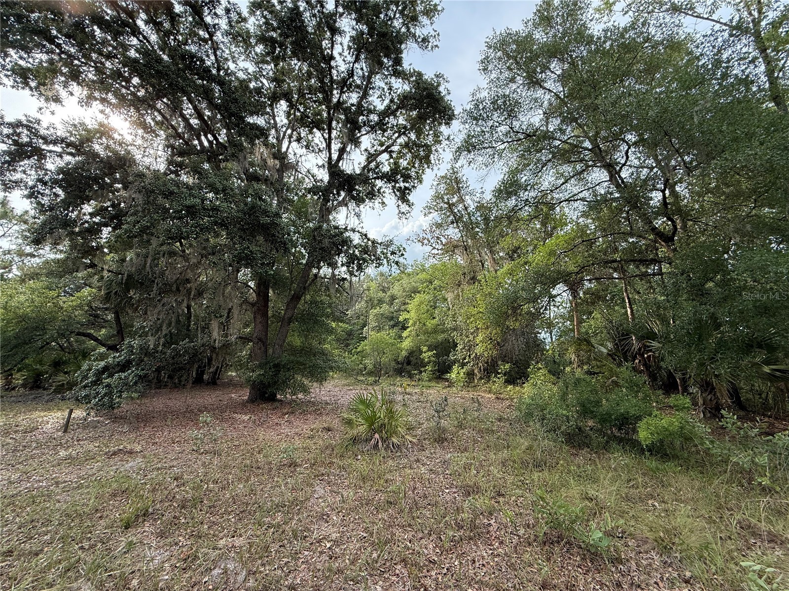 1360 S State Road 19 Palatka FL 32177 OM703128 image61