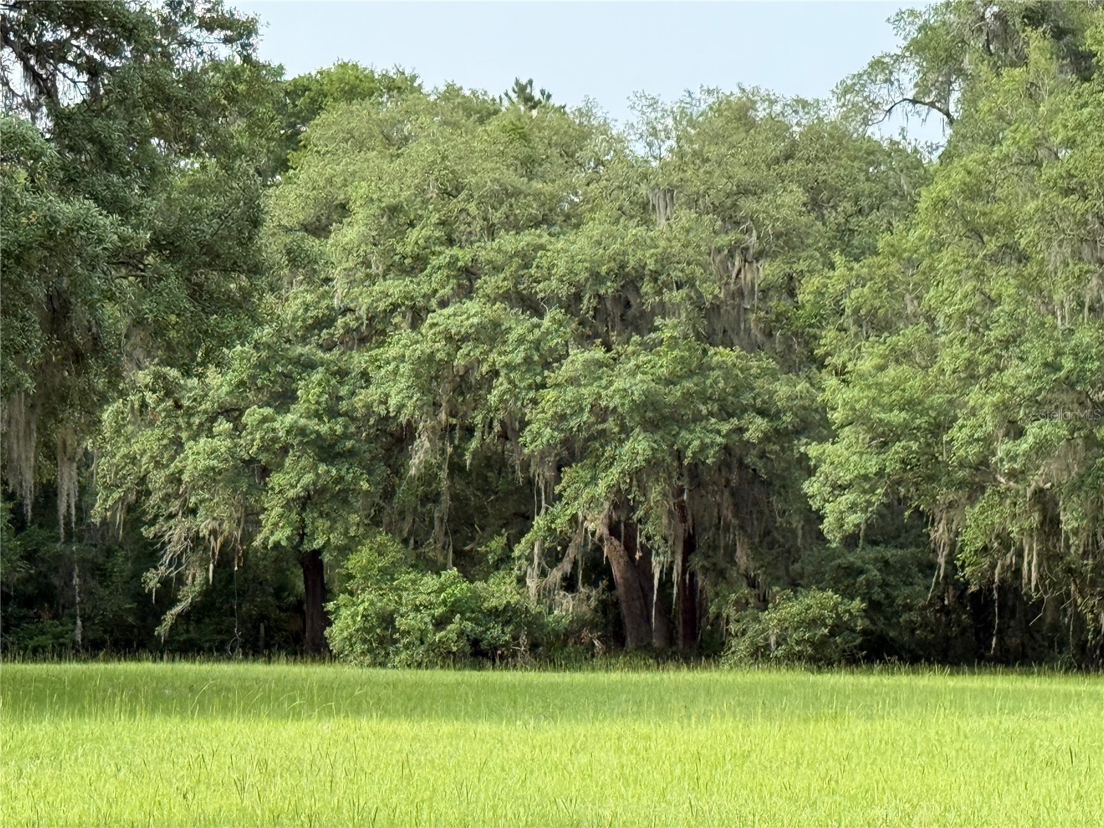 1360 S State Road 19 Palatka FL 32177 OM703128 image62