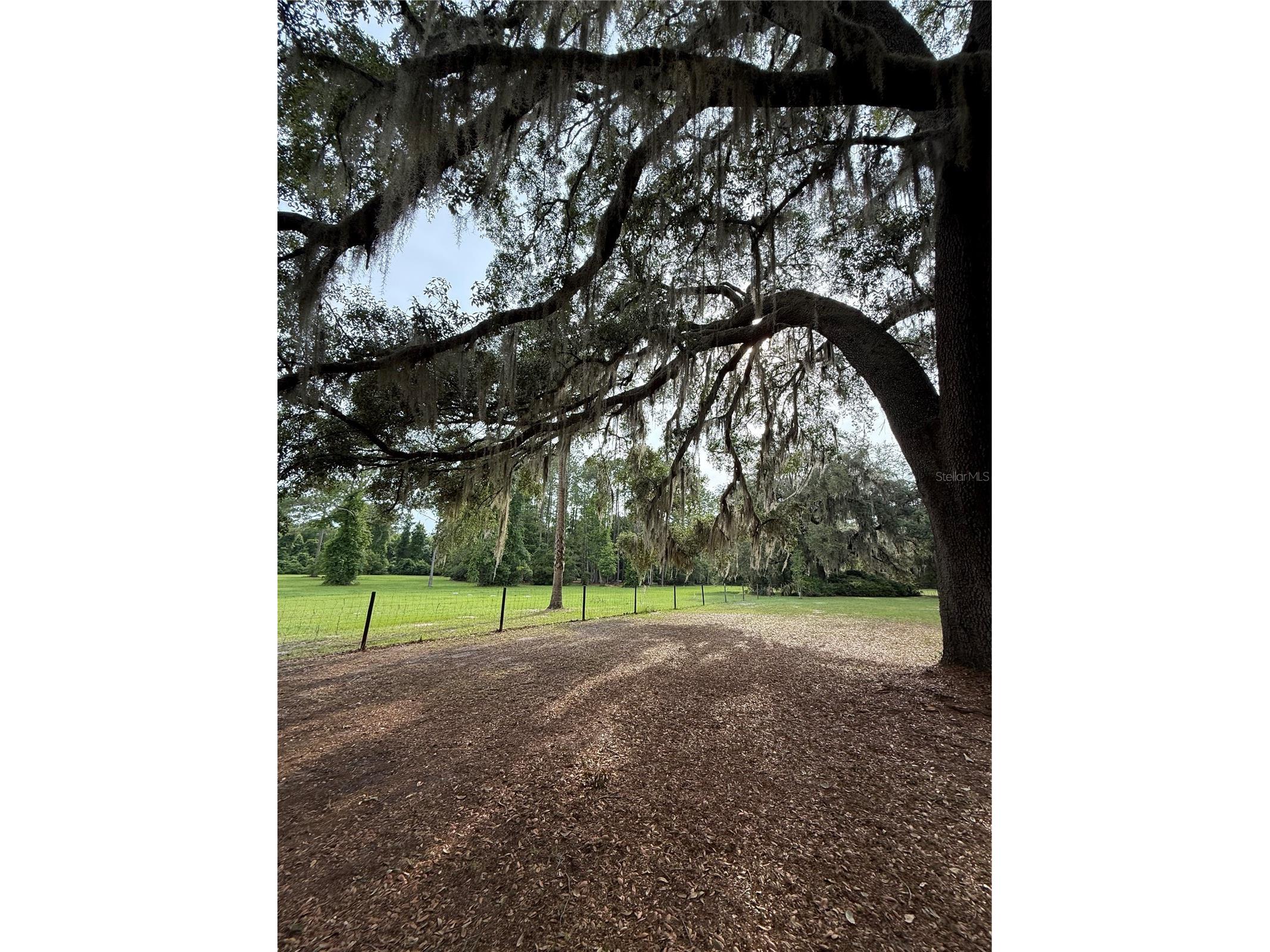 1360 S State Road 19 Palatka FL 32177 OM703128 image63