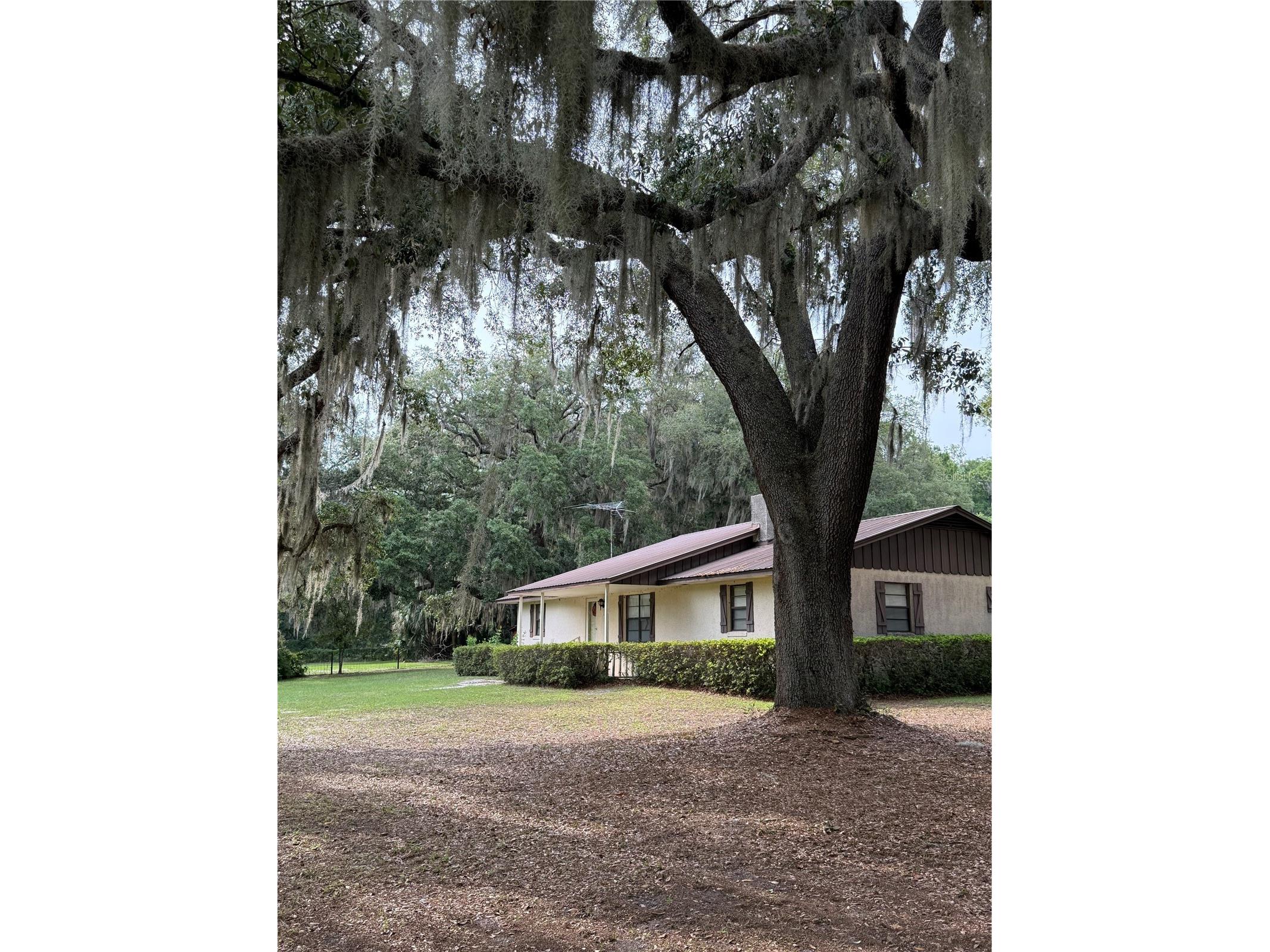 1360 S State Road 19 Palatka FL 32177 OM703128 image64