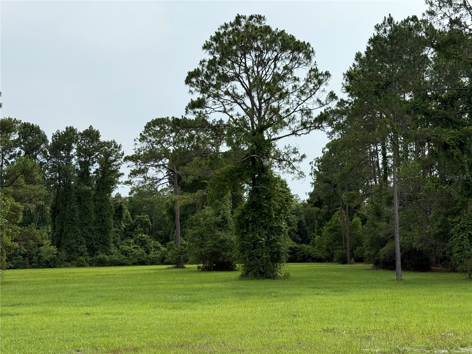 1360 S State Road 19 Palatka FL 32177 OM703128 image65