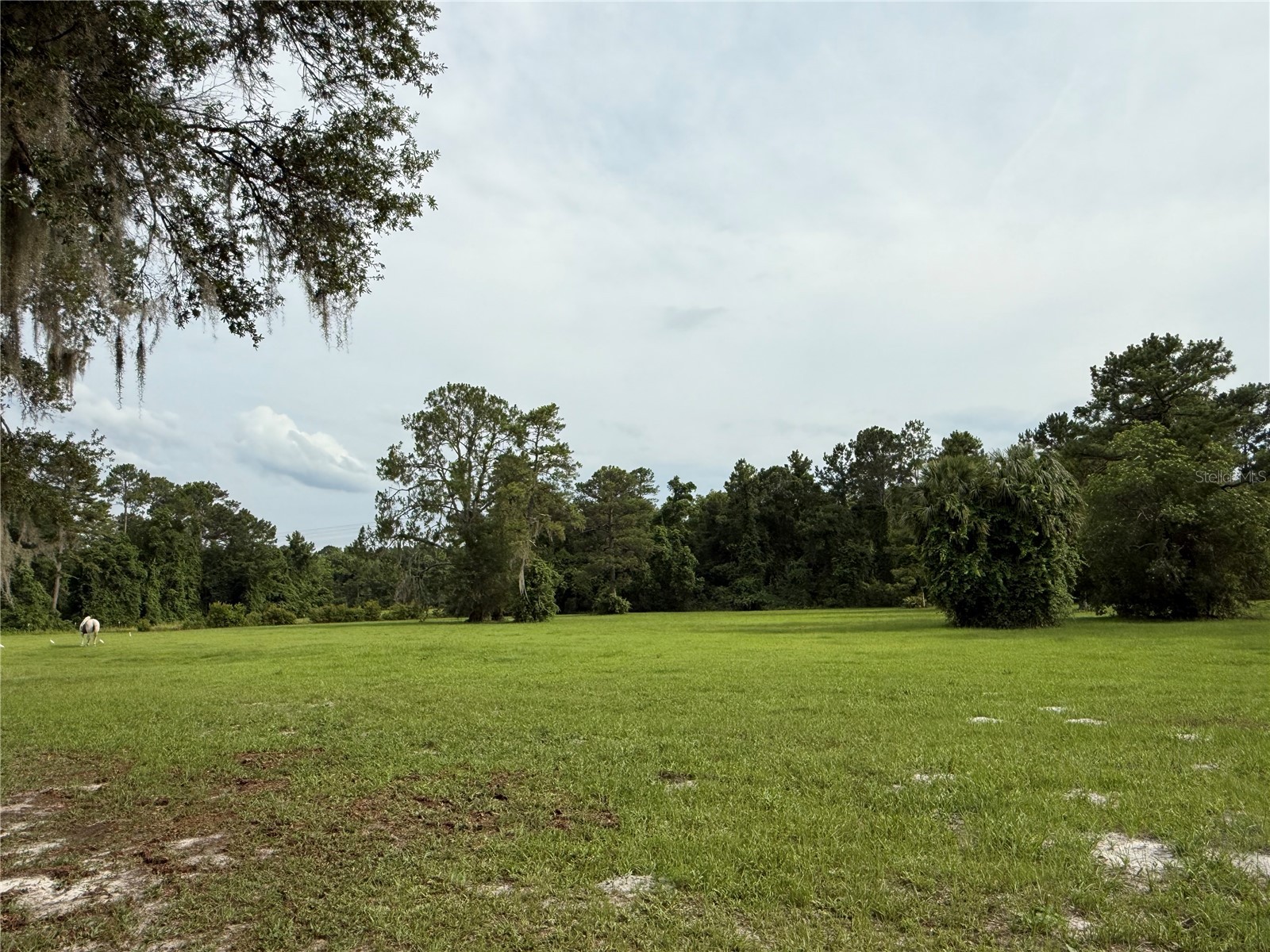 1360 S State Road 19 Palatka FL 32177 OM703128 image66