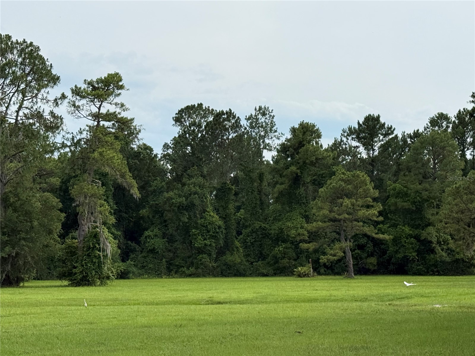 1360 S State Road 19 Palatka FL 32177 OM703128 image67