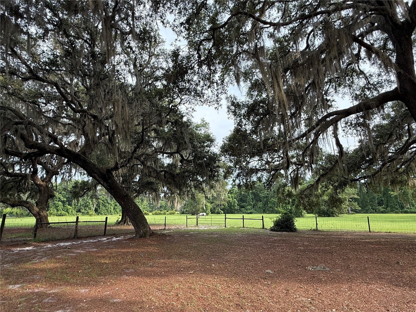 1360 S State Road 19 Palatka FL 32177 OM703128 image68
