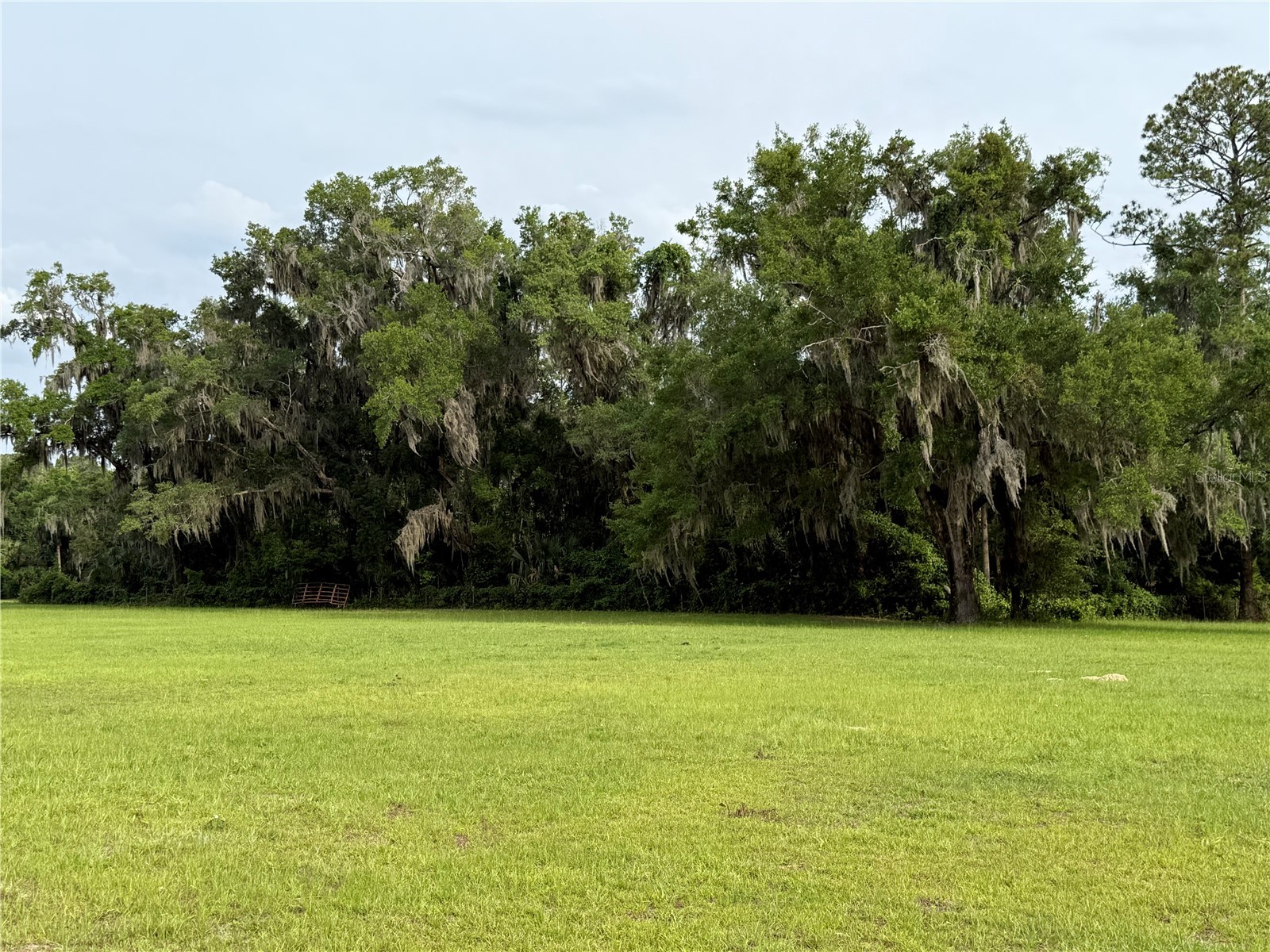 1360 S State Road 19 Palatka FL 32177 OM703128 image69