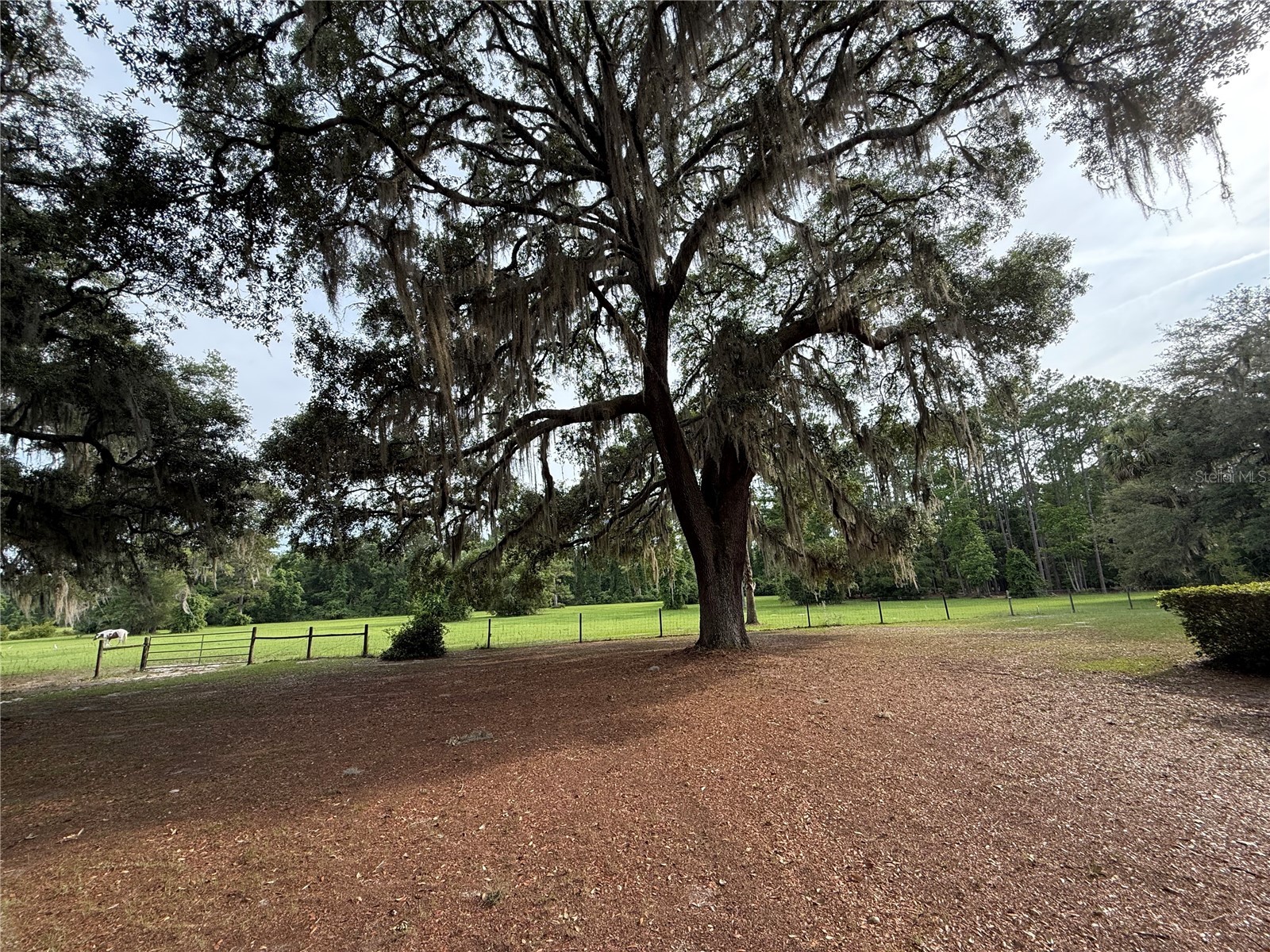 1360 S State Road 19 Palatka FL 32177 OM703128 image7