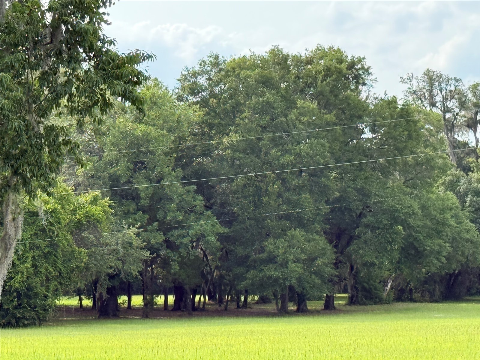 1360 S State Road 19 Palatka FL 32177 OM703128 image70