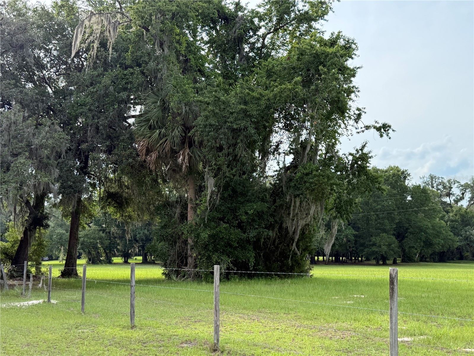 1360 S State Road 19 Palatka FL 32177 OM703128 image71