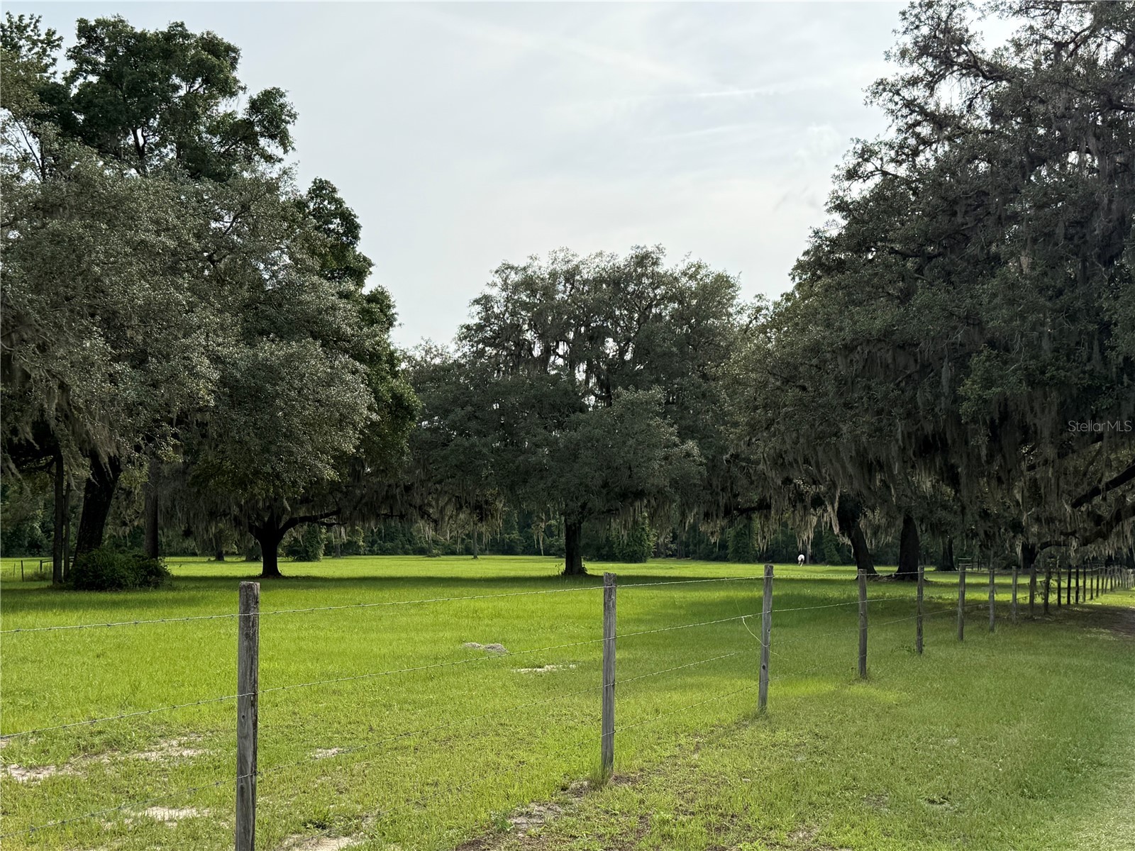 1360 S State Road 19 Palatka FL 32177 OM703128 image72