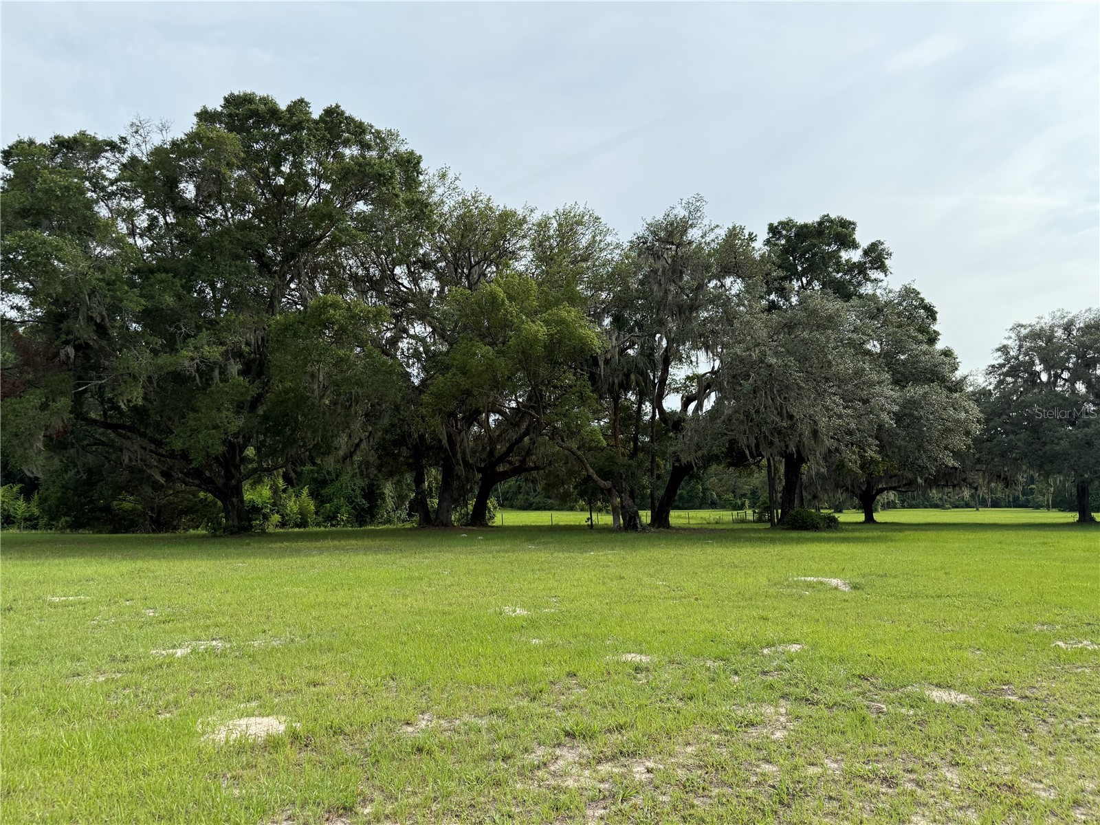 1360 S State Road 19 Palatka FL 32177 OM703128 image73
