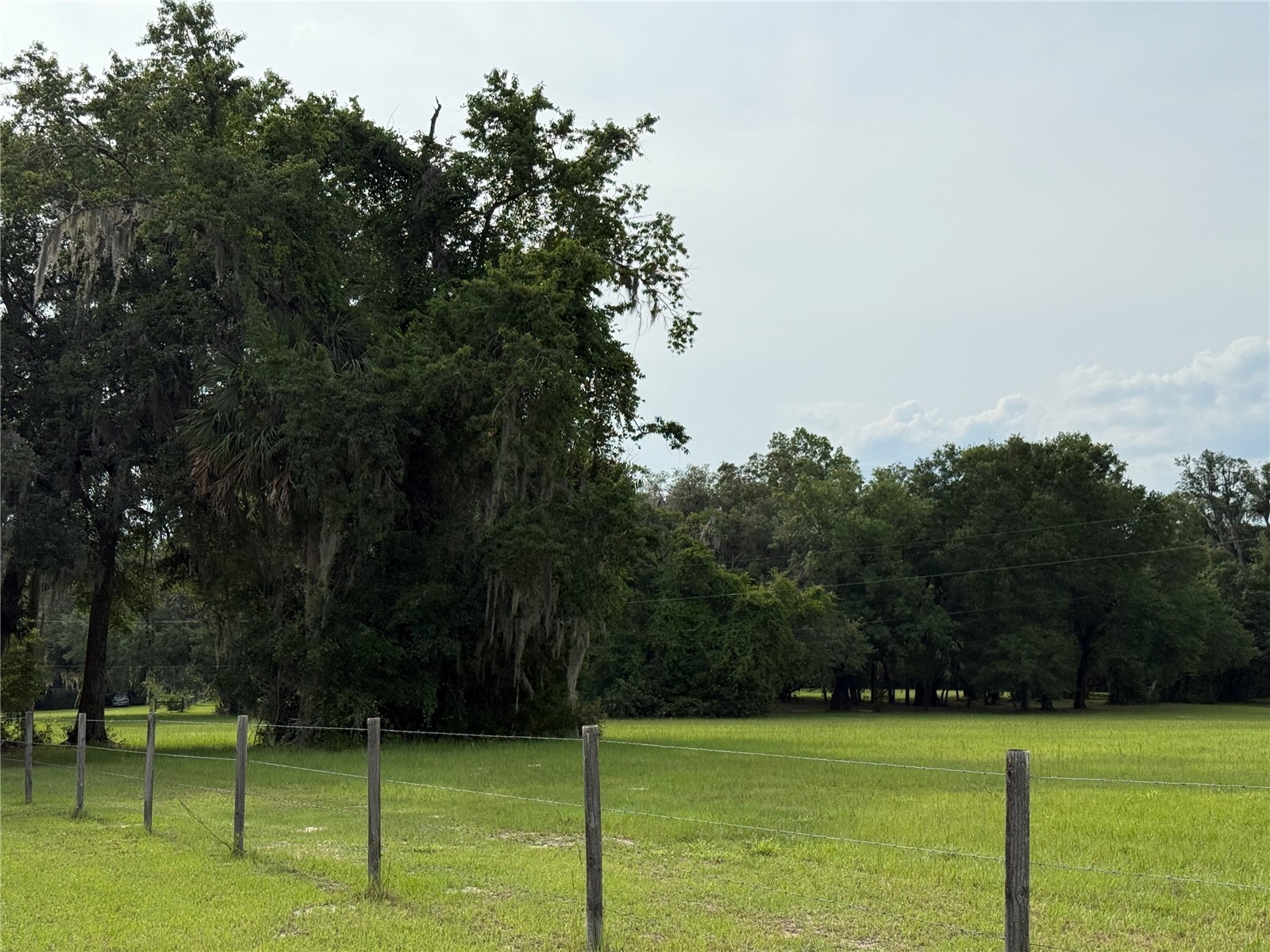 1360 S State Road 19 Palatka FL 32177 OM703128 image74