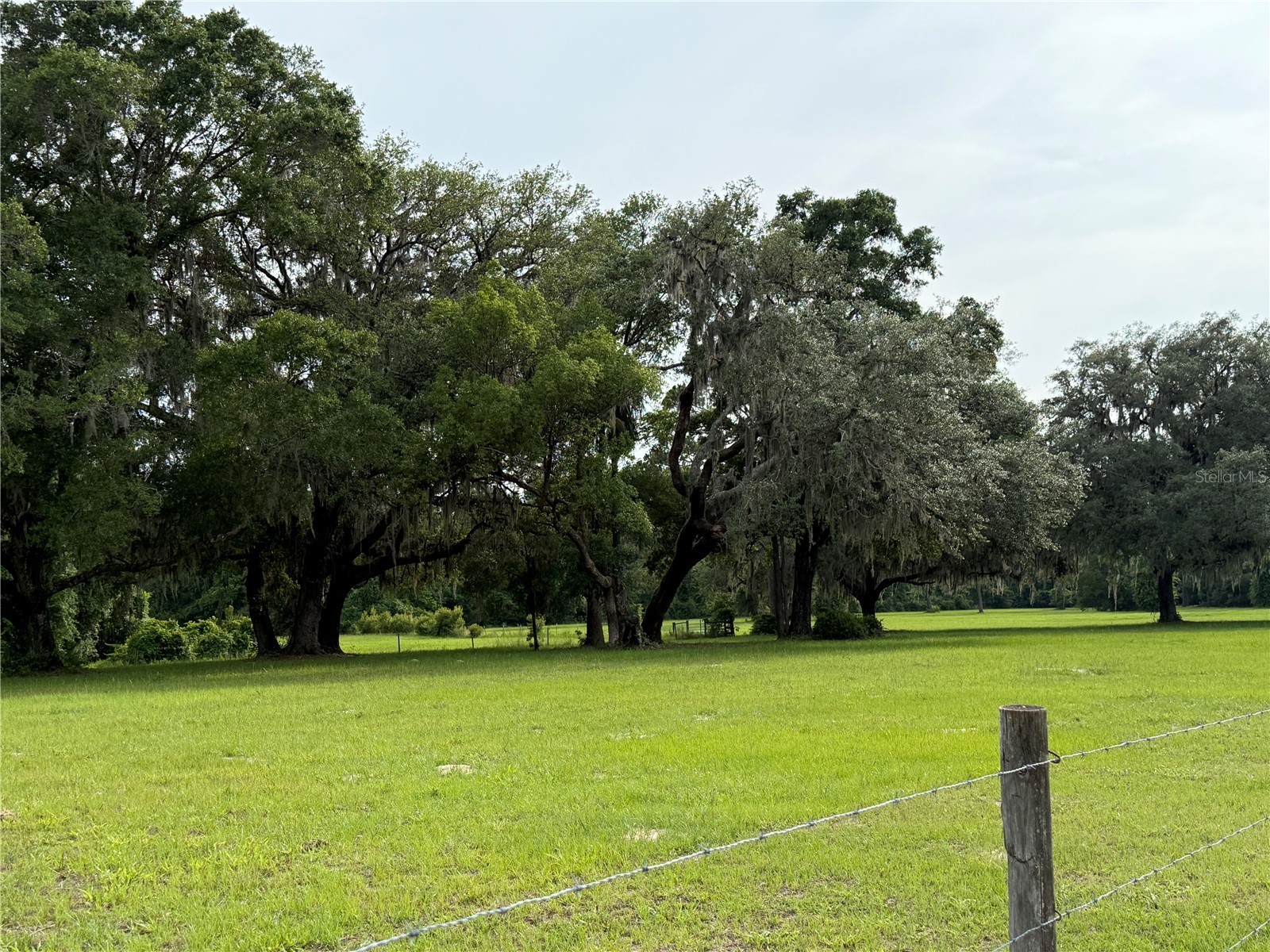 1360 S State Road 19 Palatka FL 32177 OM703128 image75