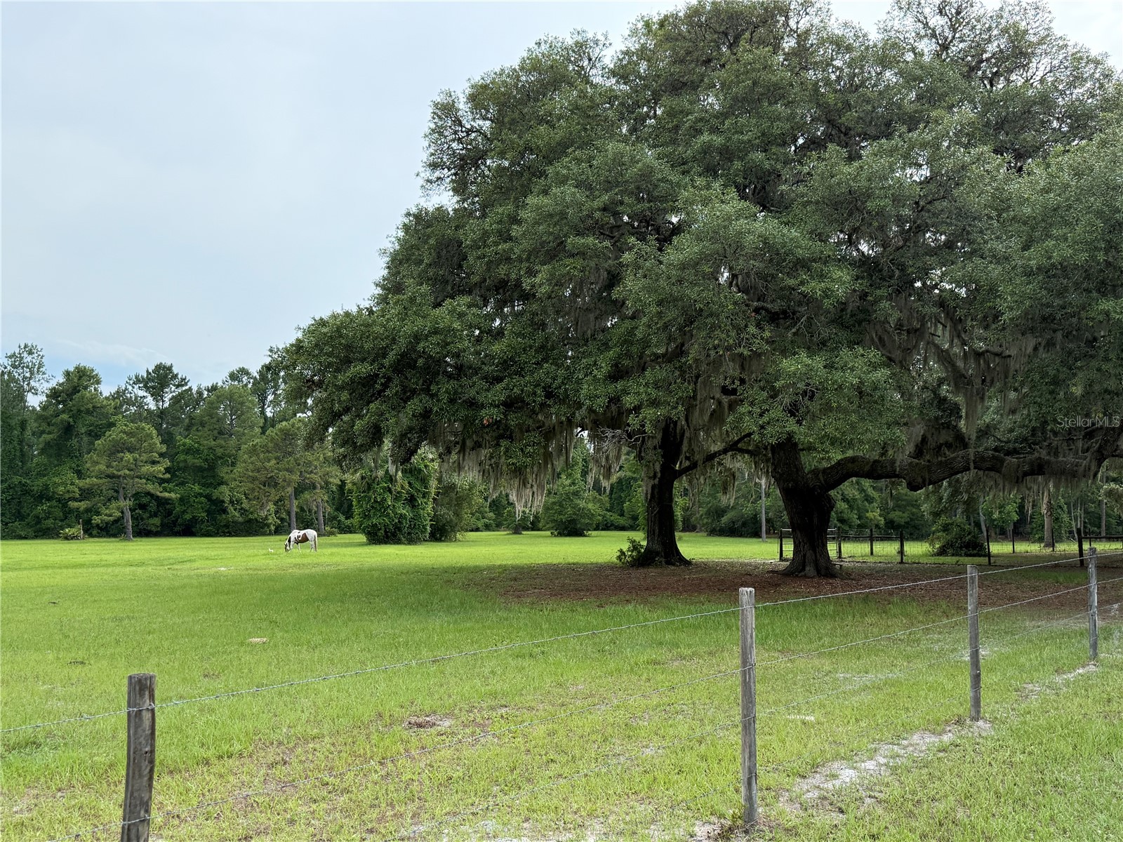 1360 S State Road 19 Palatka FL 32177 OM703128 image8