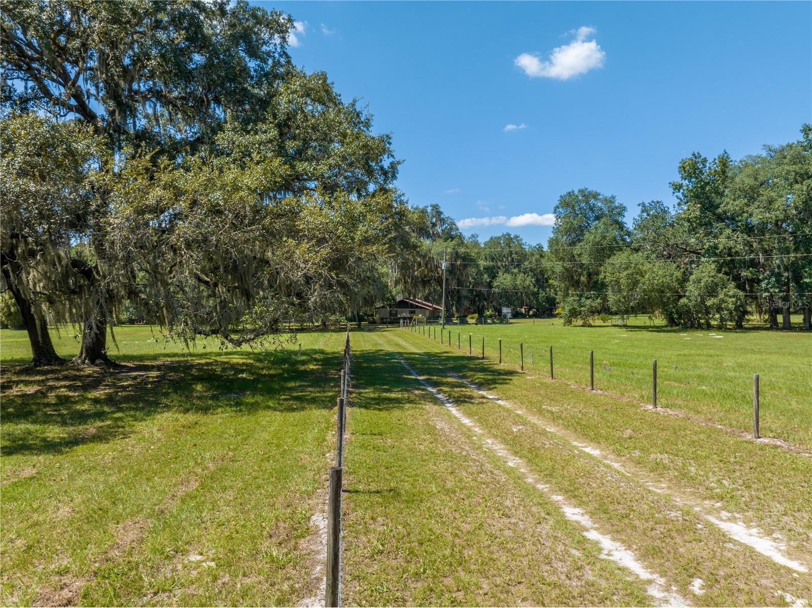 1360 S State Road 19 Palatka FL 32177 OM703128 image9