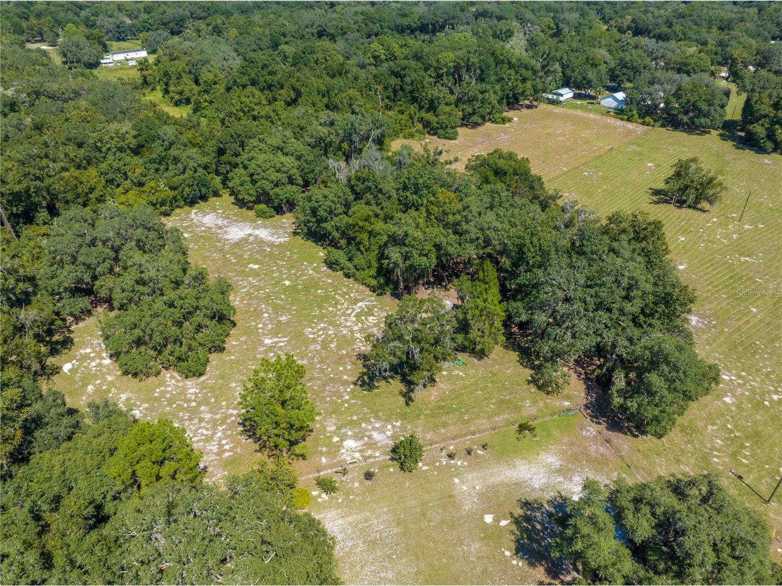 1360 S State Road 19 Palatka FL 32177 OM703128 image96
