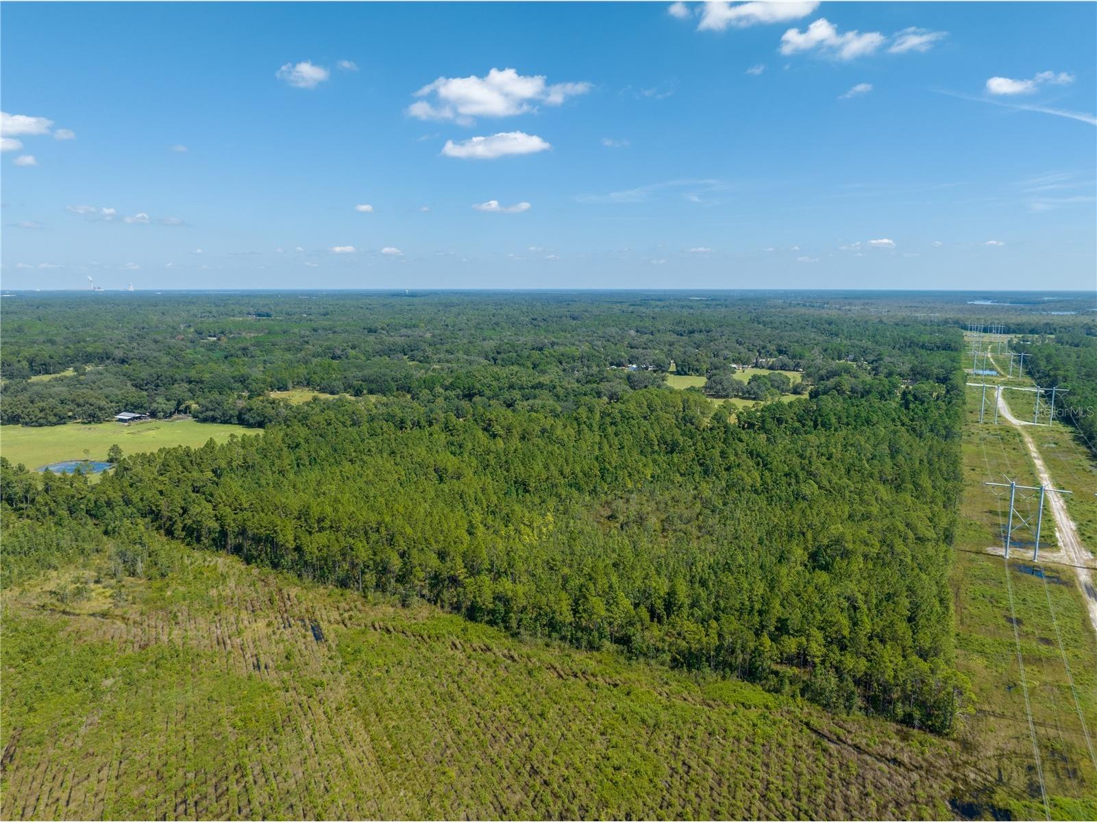 1360 S State Road 19 Palatka FL 32177 OM703128 image97