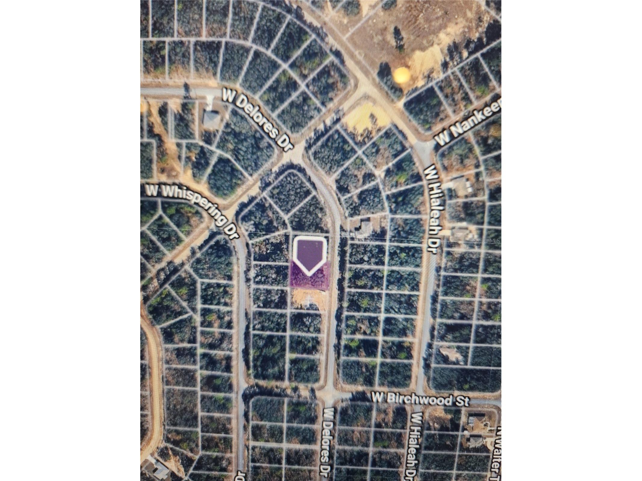 1360 W Dolores Drive Citrus Springs FL 34434 TB8515099 image1