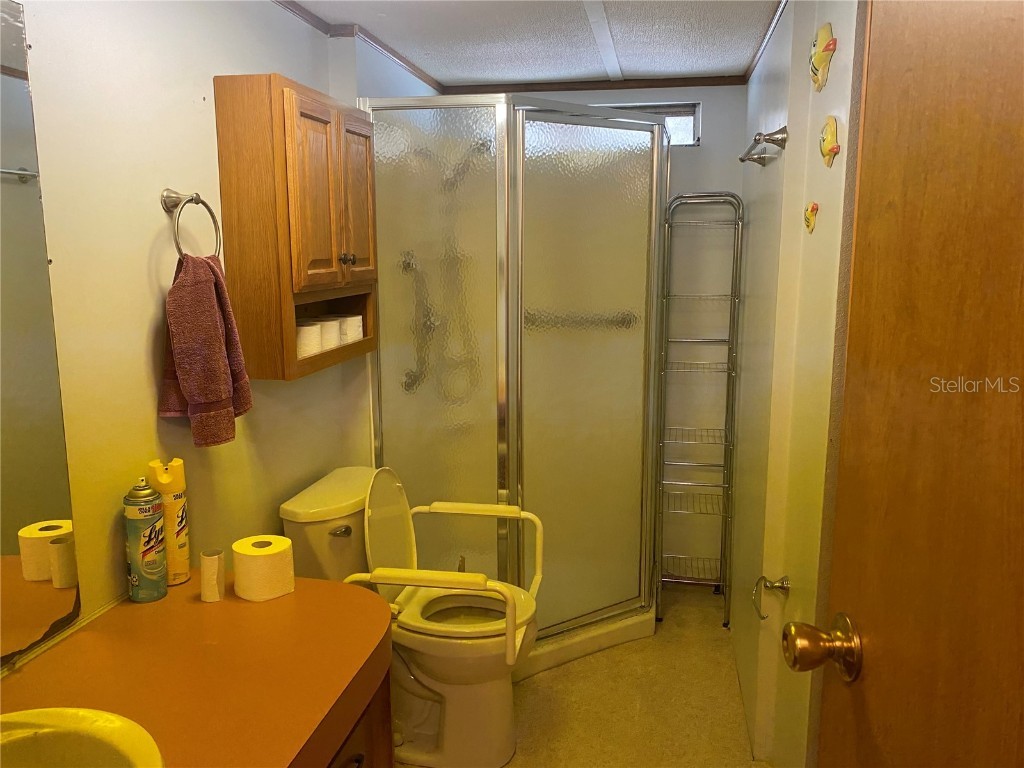 13601 Lake Hatchineha Road Haines City FL 33844 S5132009 image22