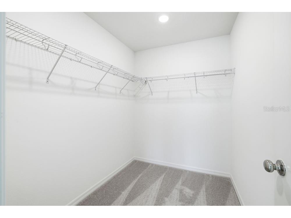 13601 Tropical Breeze Way Hudson FL 34669 TB8412296 image17