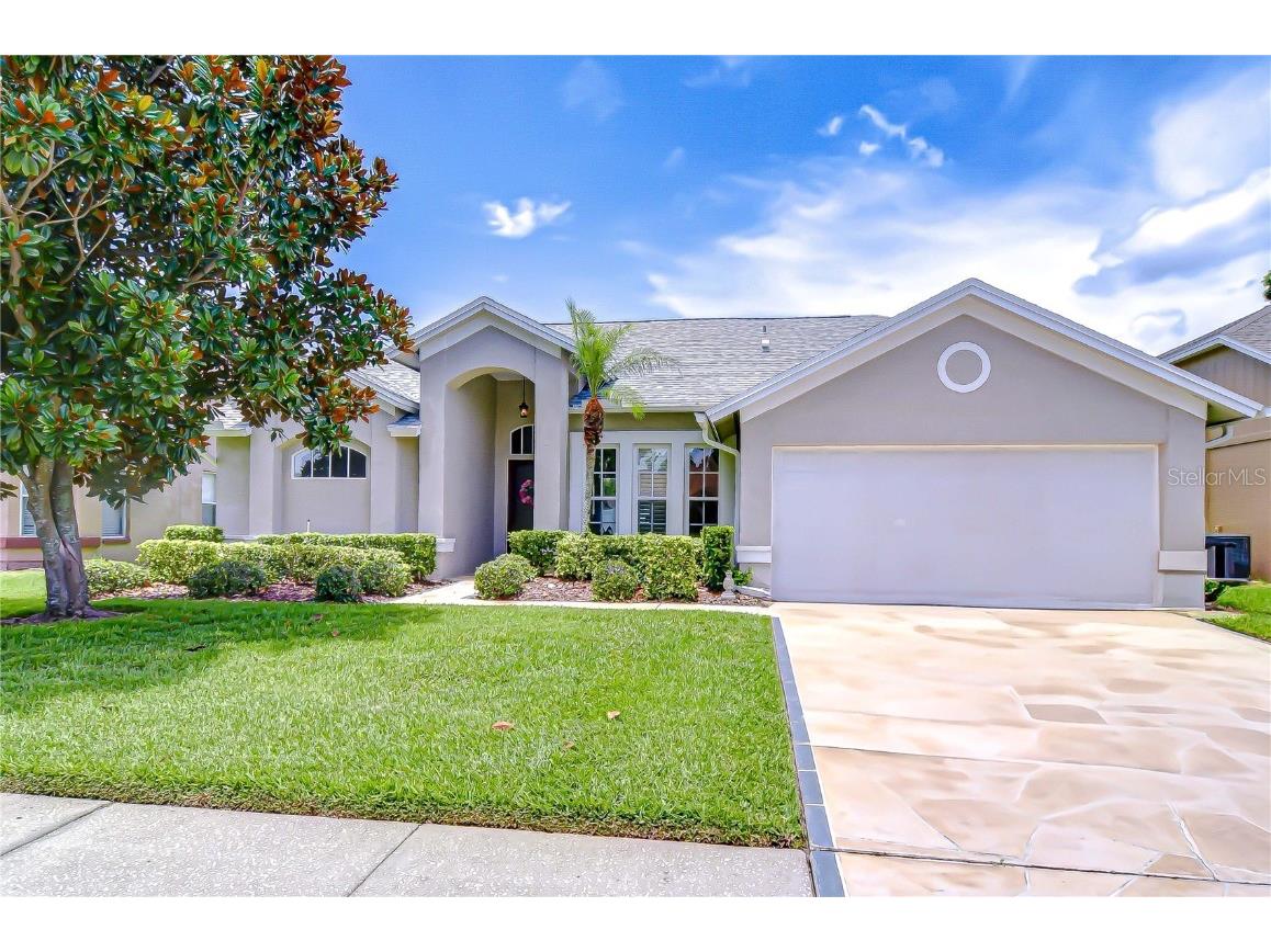 13602 Fawn Ridge Boulevard Tampa FL 33626 TB8397093 image1