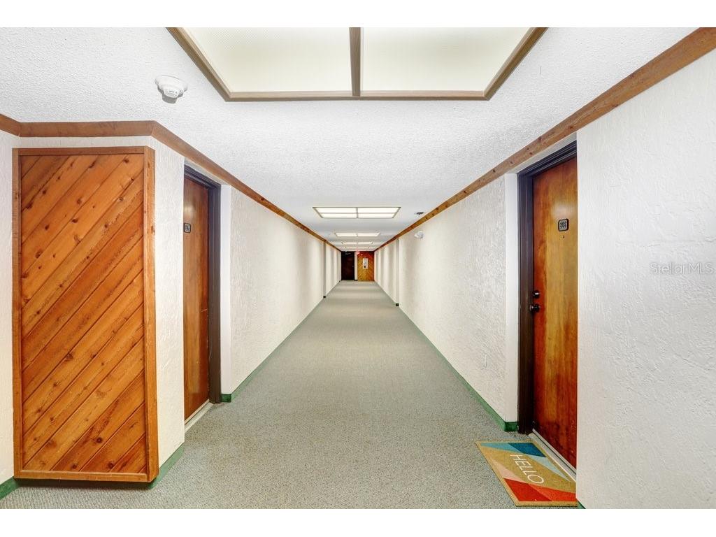 13602 S Village Drive #1205 Tampa FL 33618 TB8494368 image24
