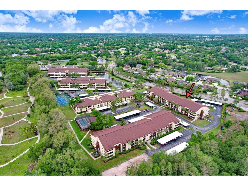 13602 S Village Drive #1205 Tampa FL 33618 TB8494368 image26