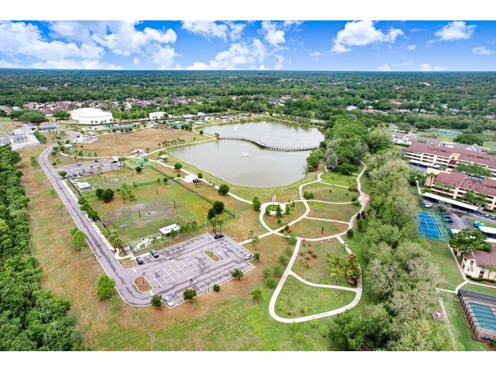 13602 S Village Drive #1205 Tampa FL 33618 TB8494368 image33