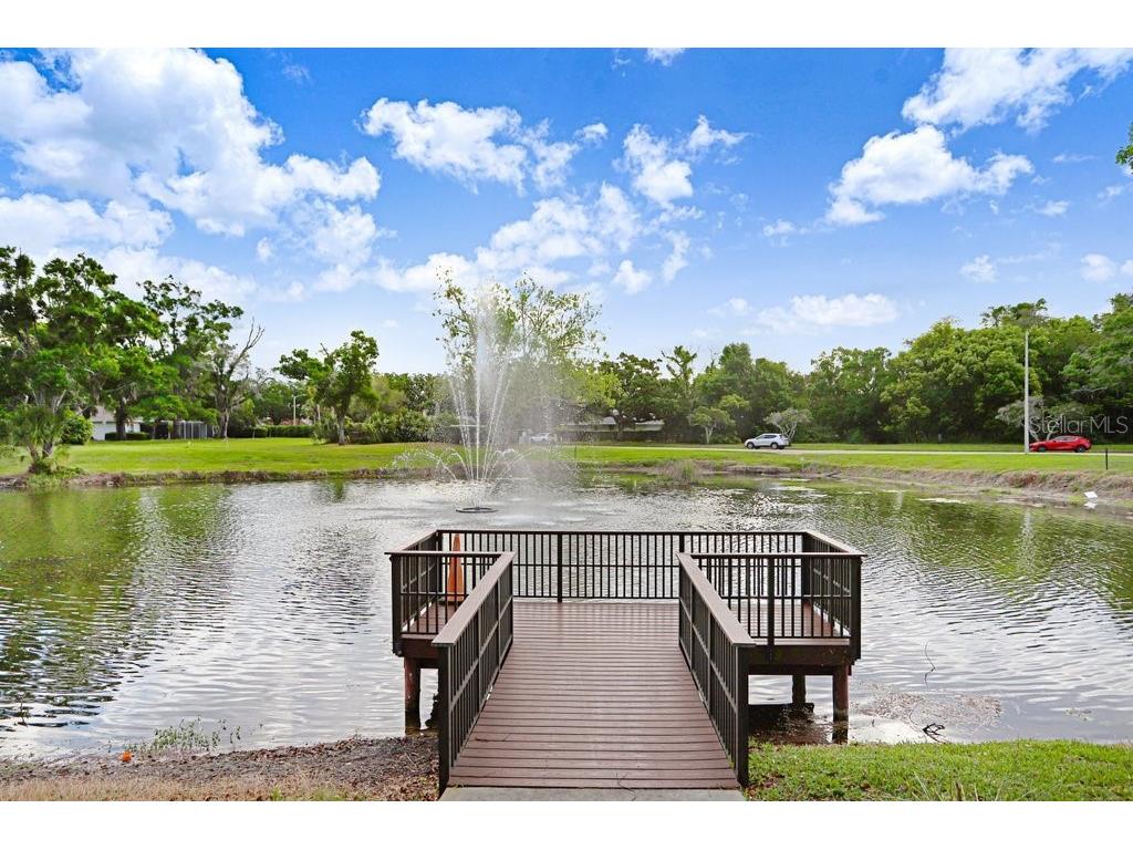 13602 S Village Drive #1205 Tampa FL 33618 TB8494368 image35
