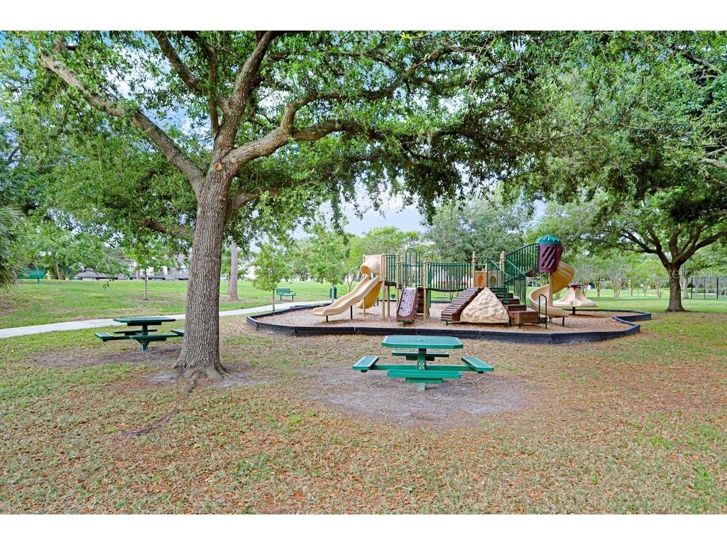 13602 S Village Drive #1205 Tampa FL 33618 TB8494368 image36
