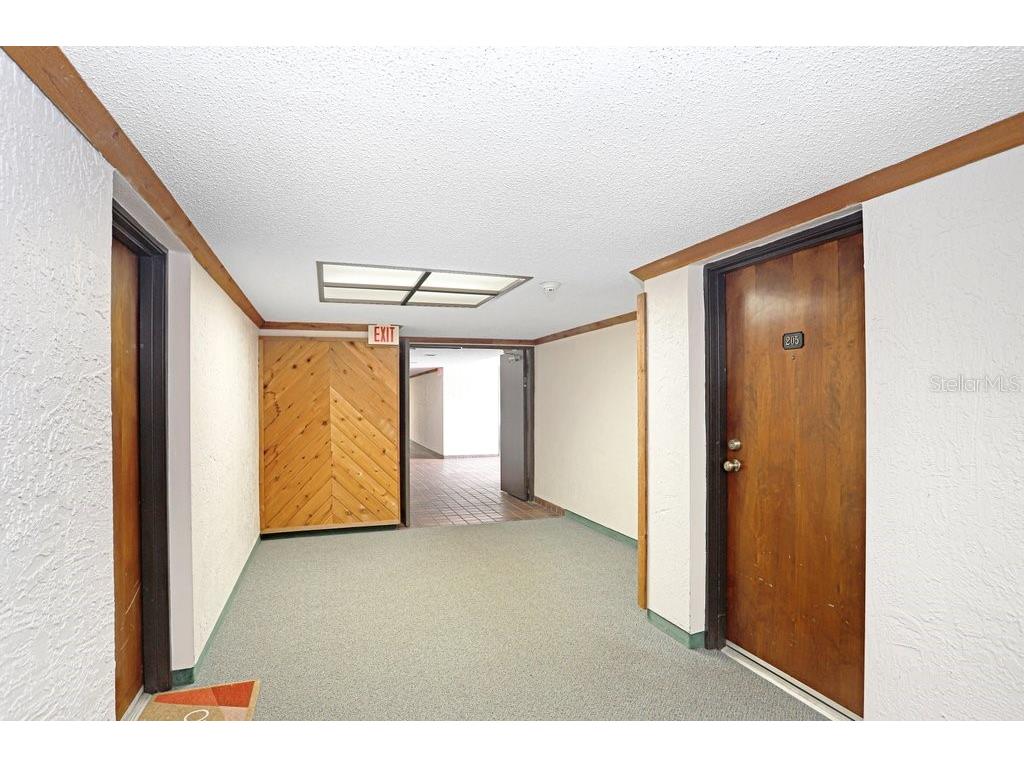 13602 S Village Drive #1205 Tampa FL 33618 TB8494368 image4